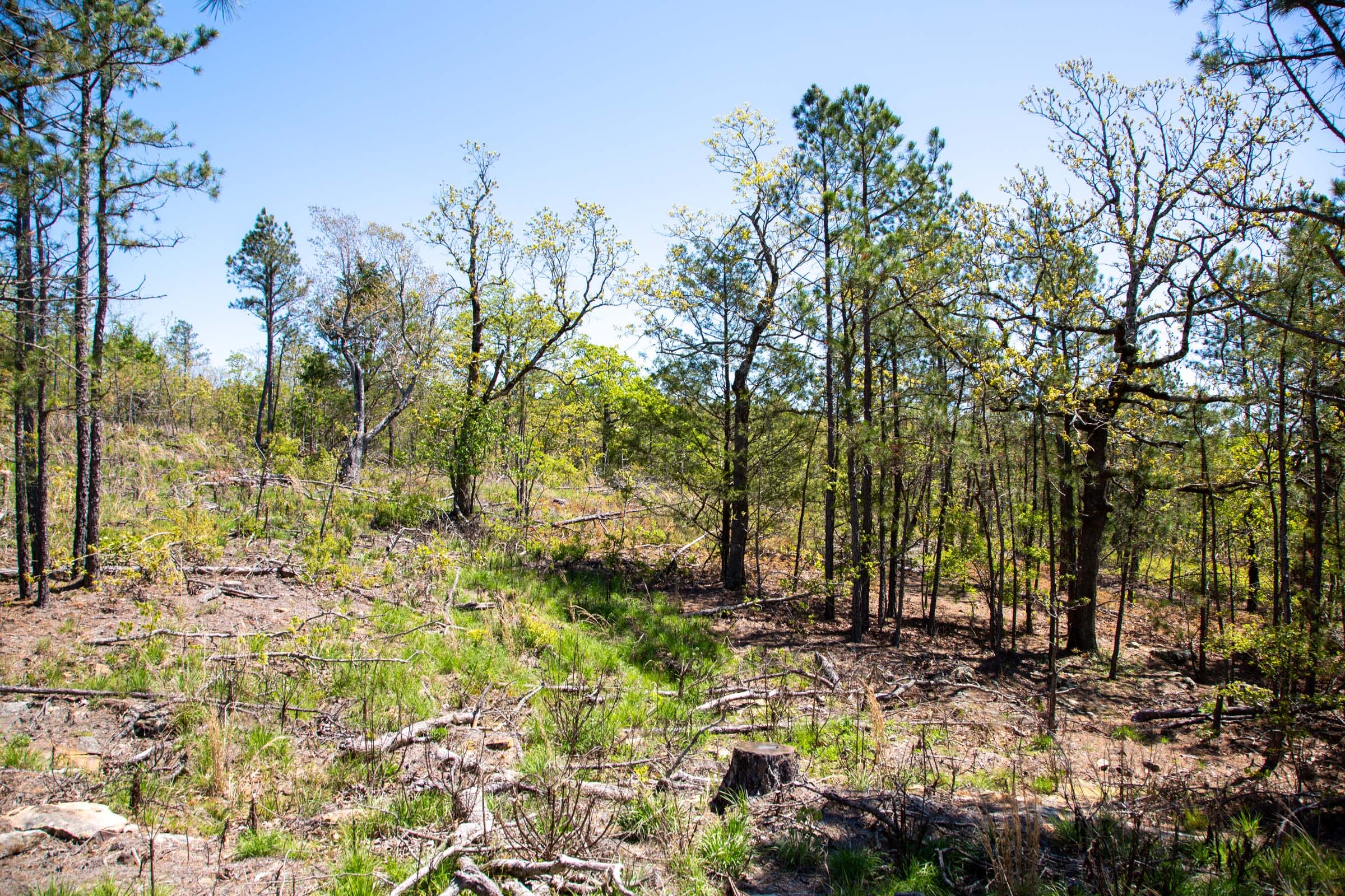 Eagle’s Nest Tract 23 photo 15