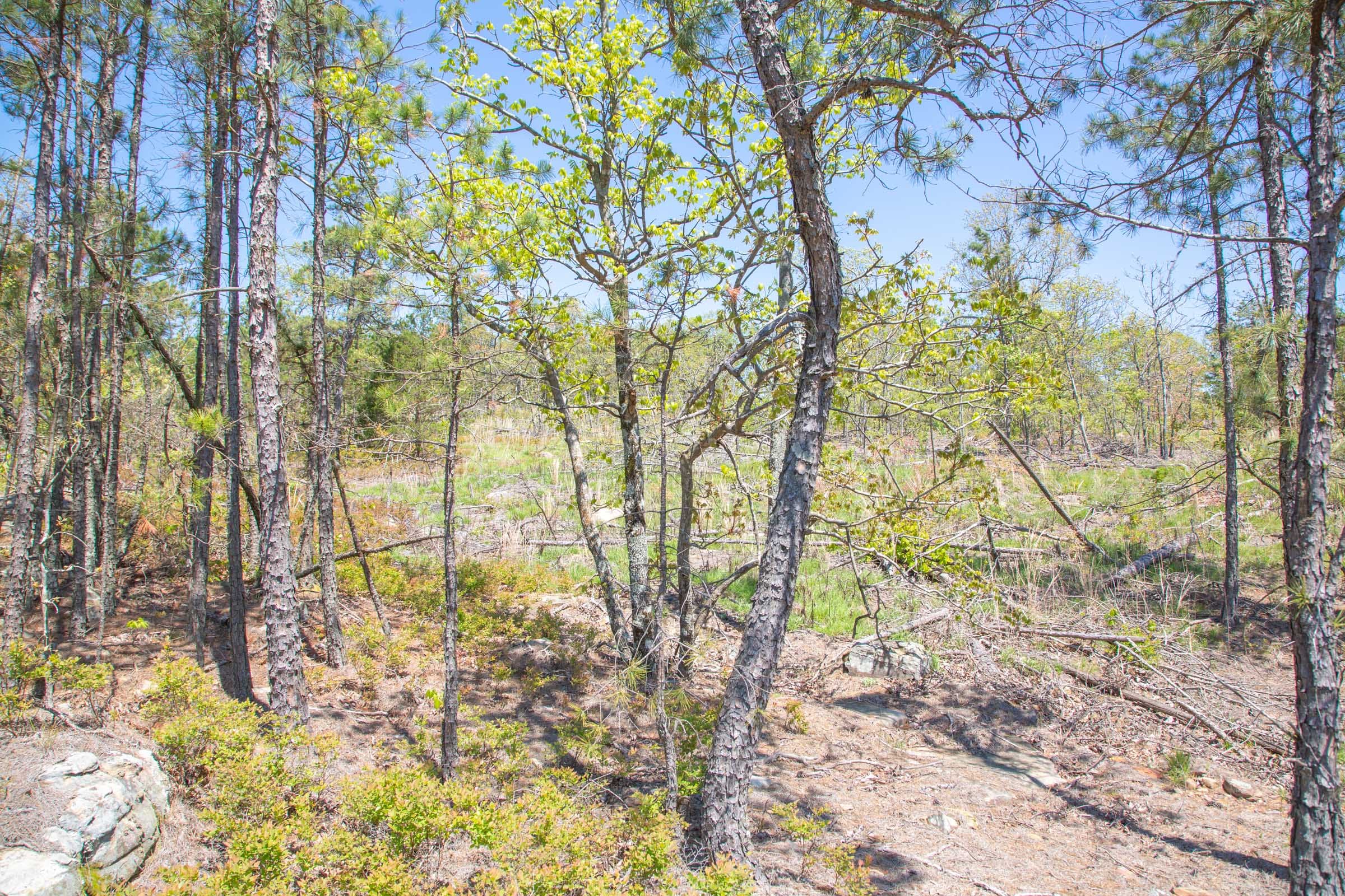 Eagle’s Nest Tract 23 photo 17
