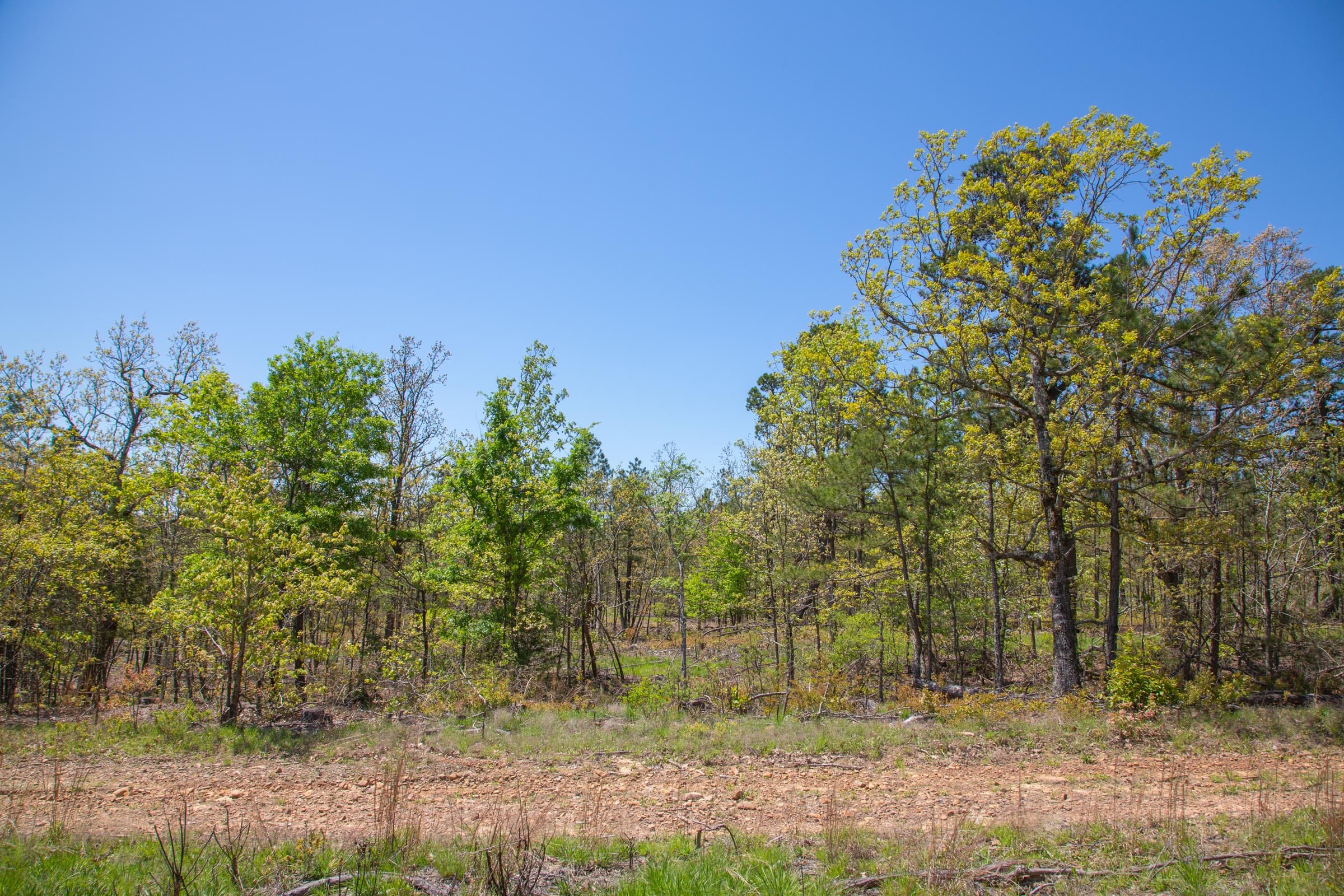 Eagle’s Nest Tract 23 photo 18
