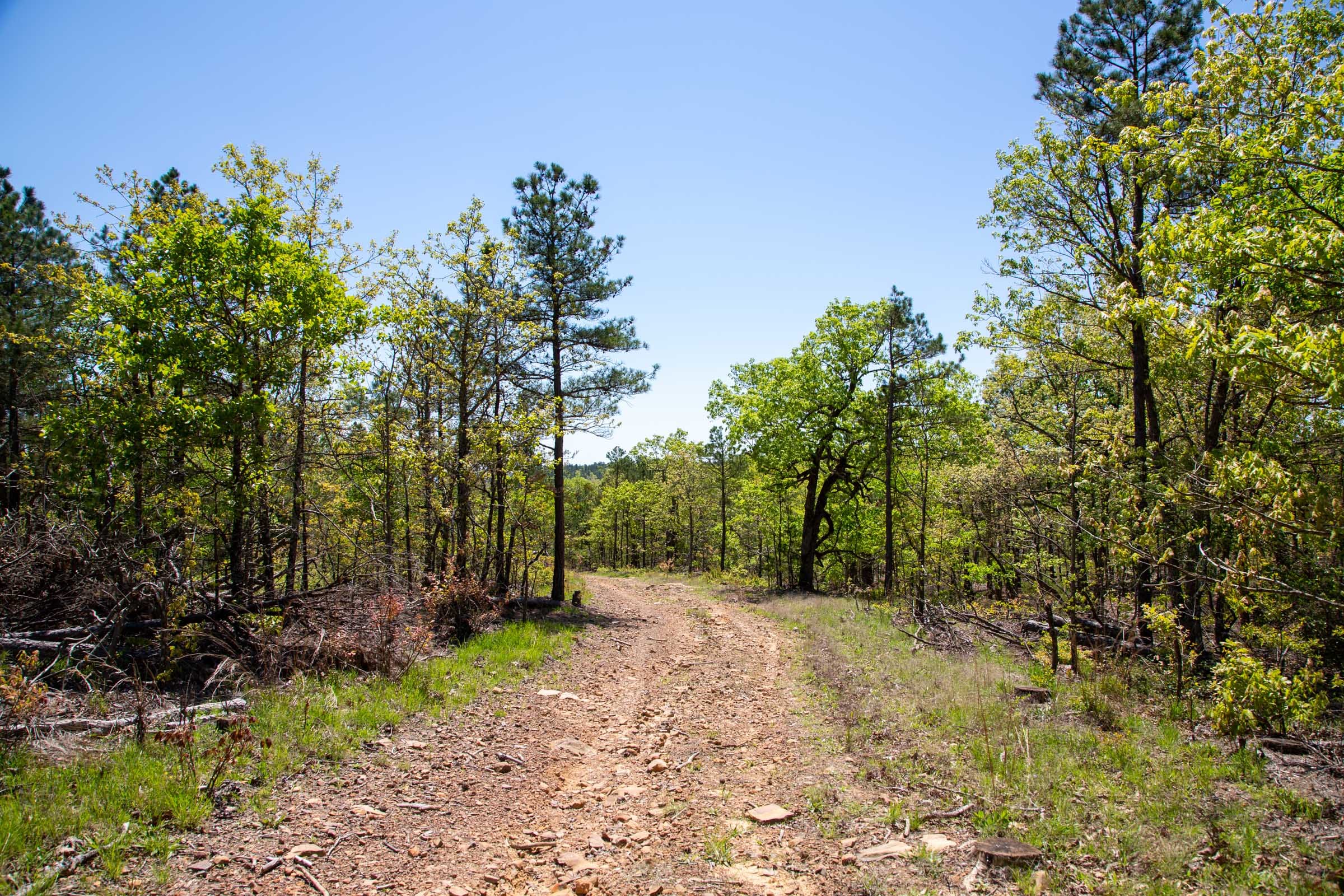 Eagle’s Nest Tract 23 photo 16