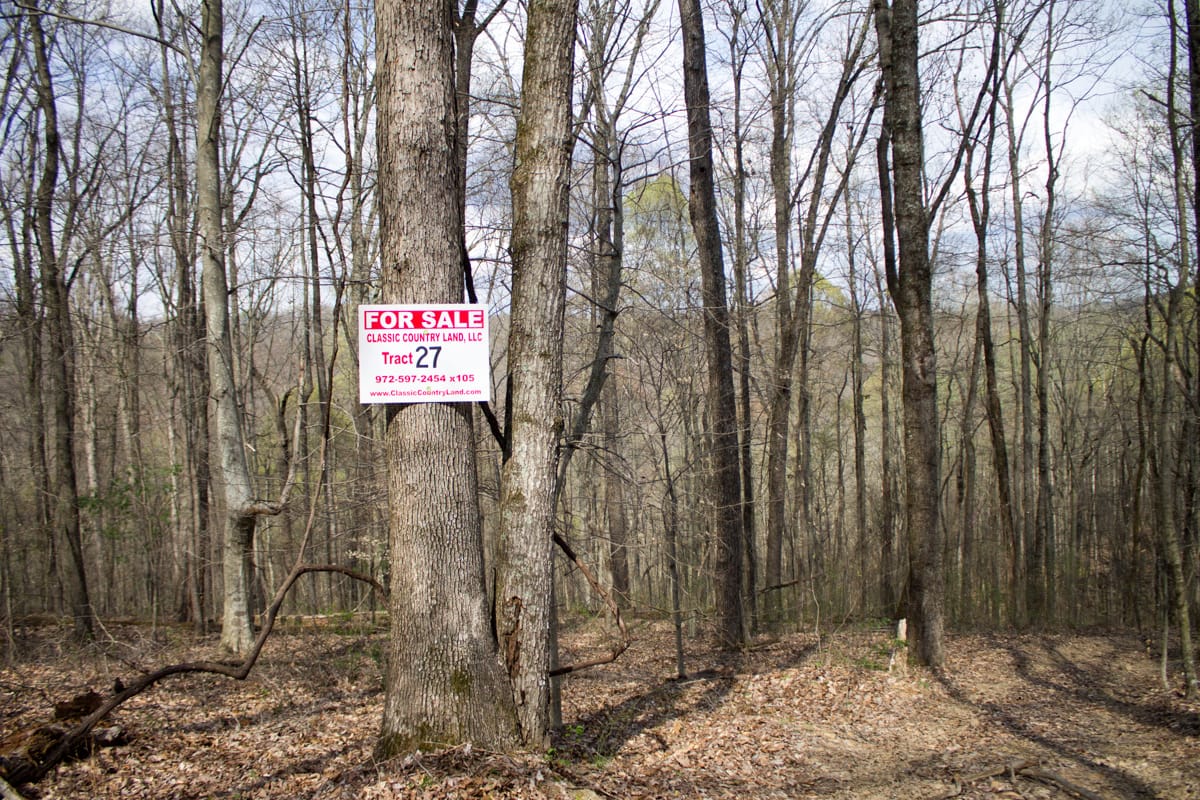 Chestnut Oak Ridge Tract 27 photo 1