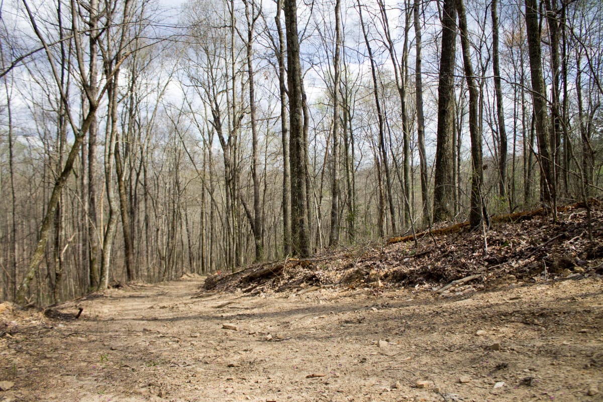 Chestnut Oak Ridge Tract 27 photo 5
