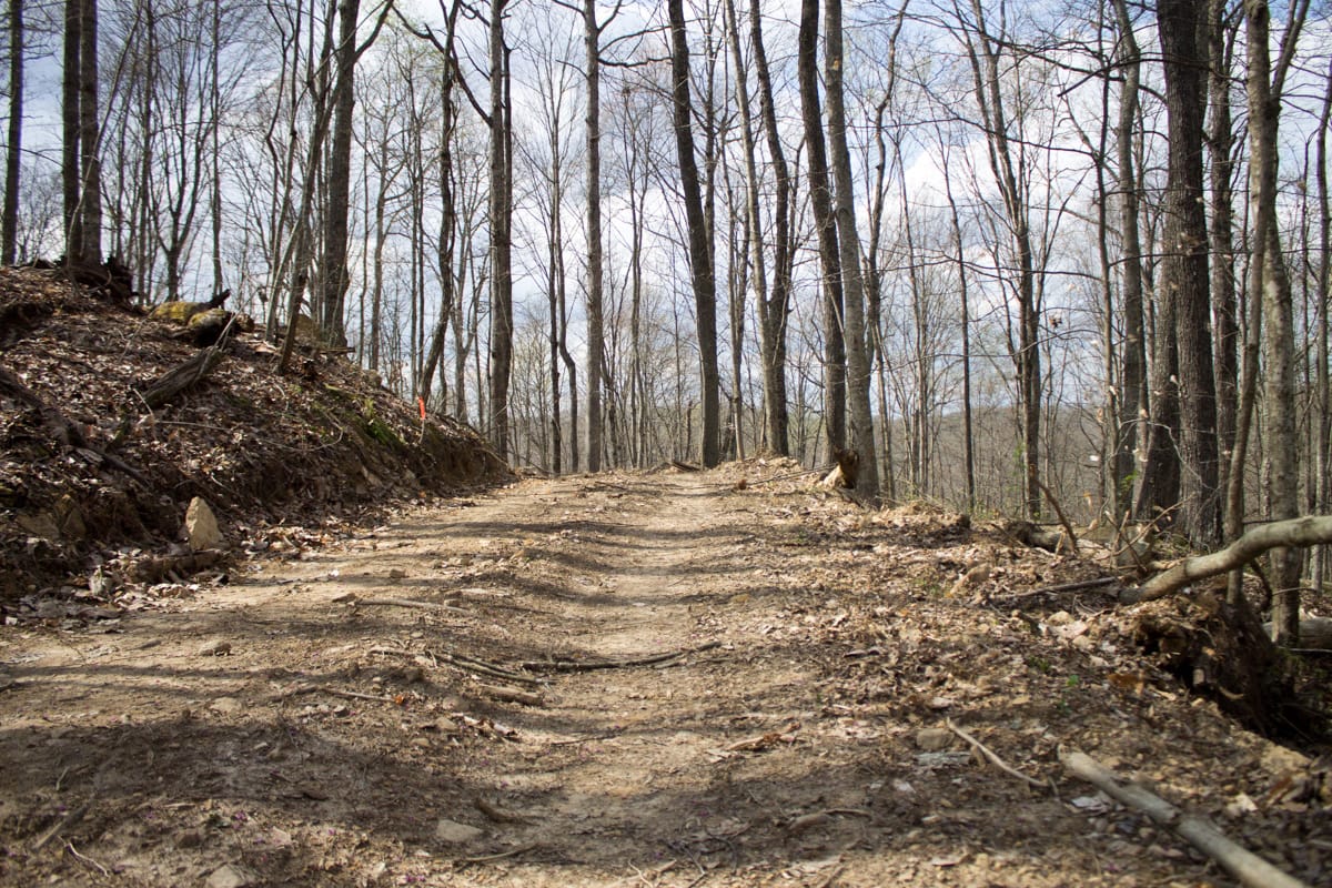 Chestnut Oak Ridge Tract 27 photo 6