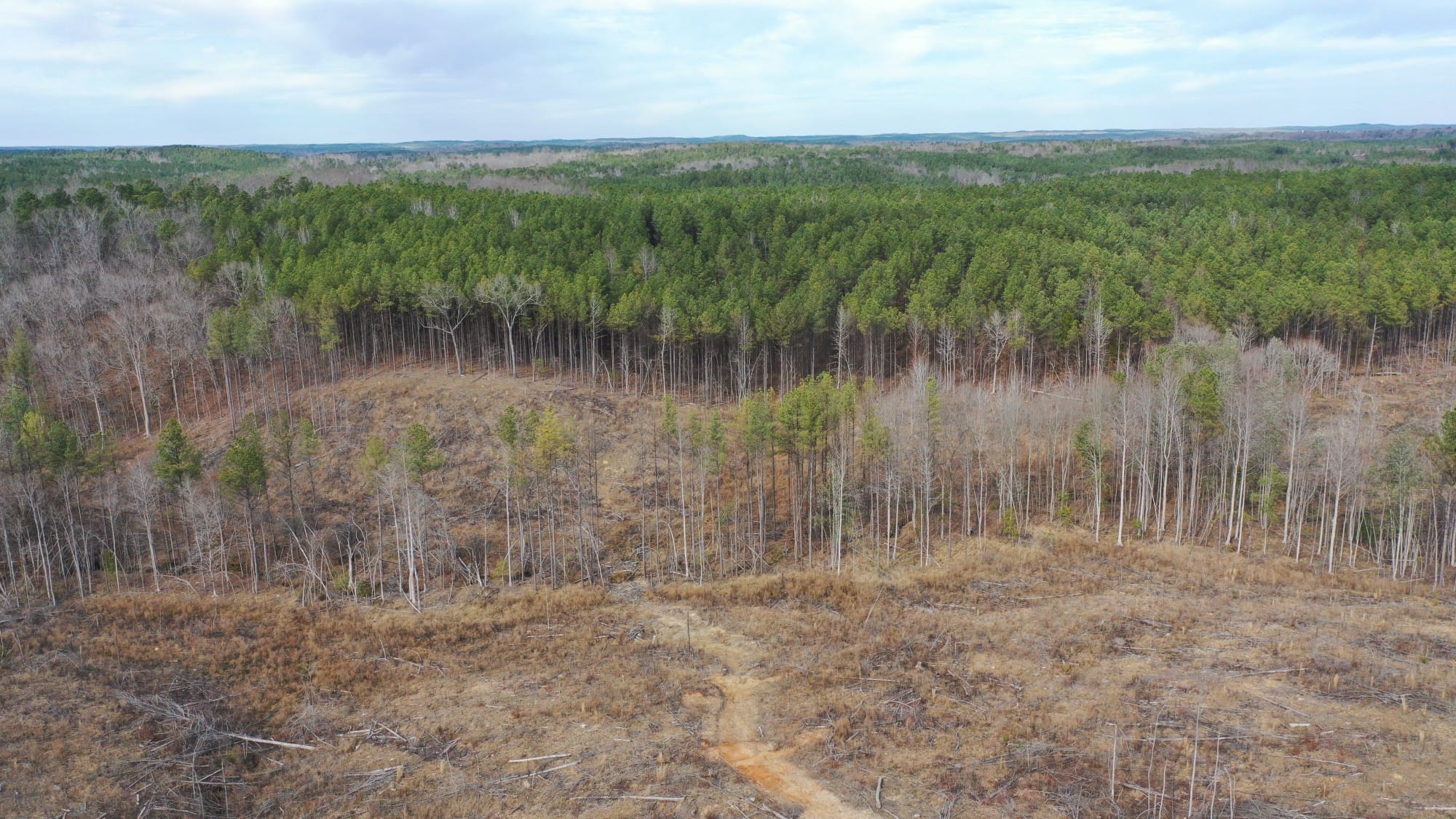 Fairview Hills Tract 9 photo 3