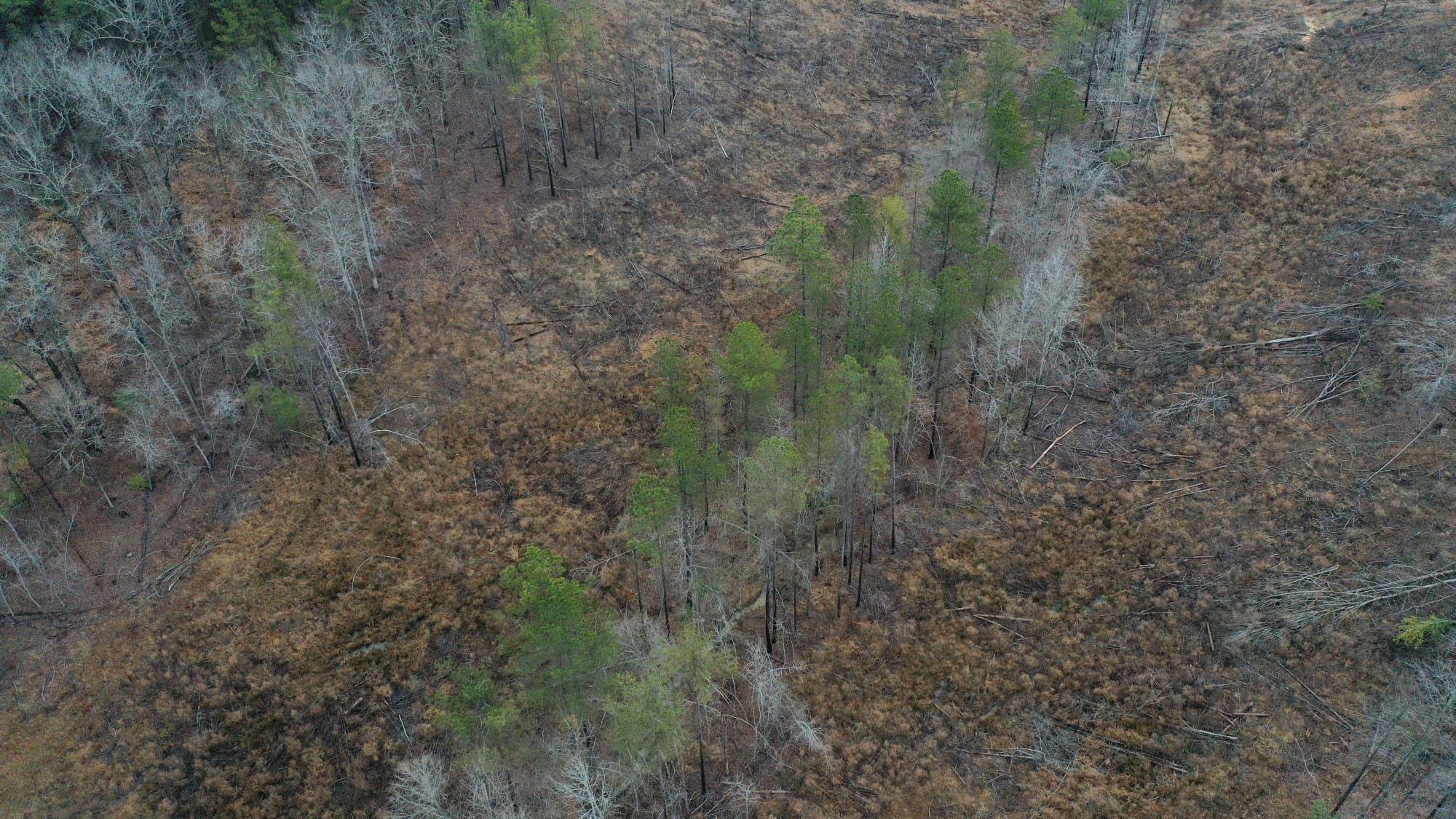 Fairview Hills Tract 9 photo 4