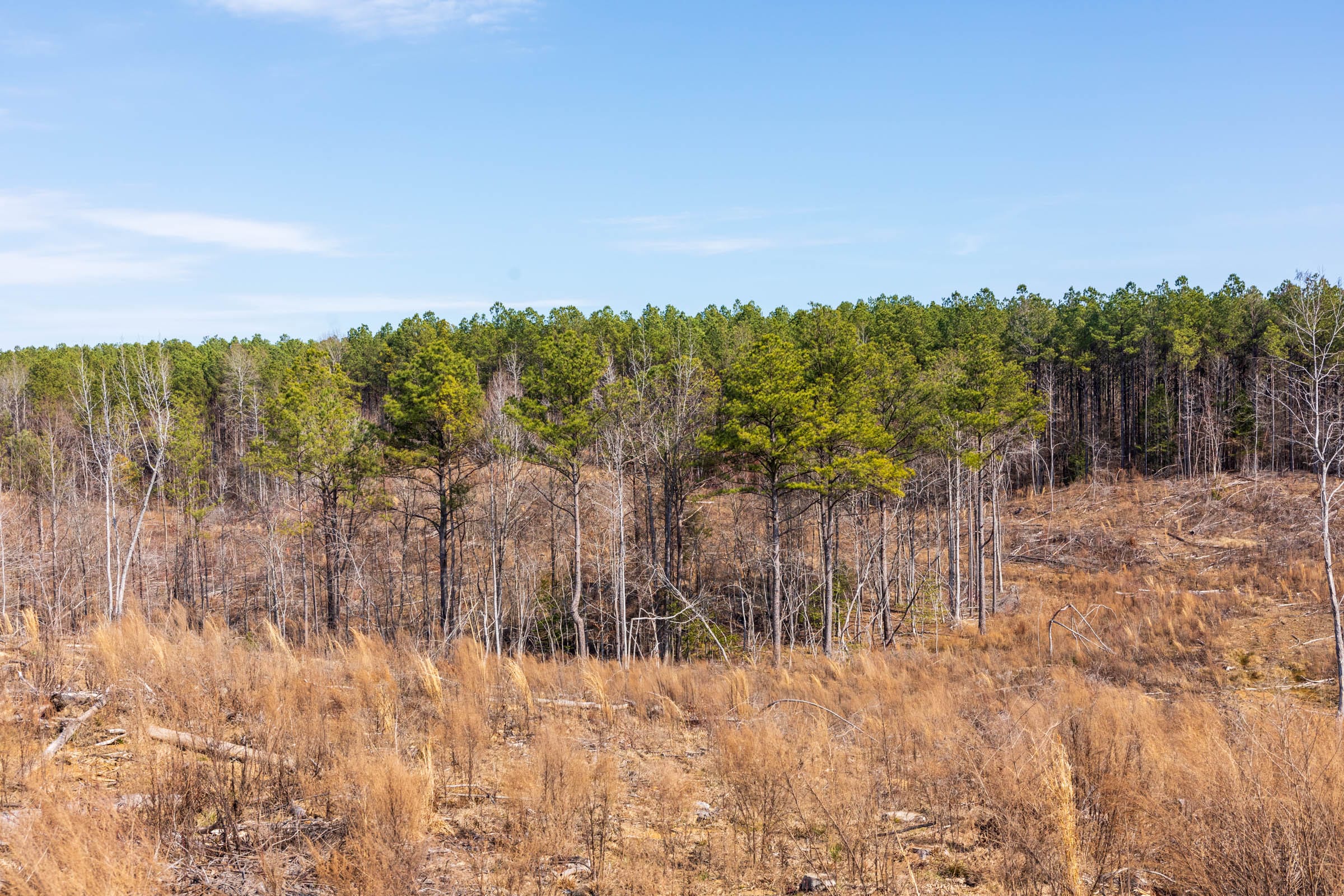 Fairview Hills Tract 9 photo 5