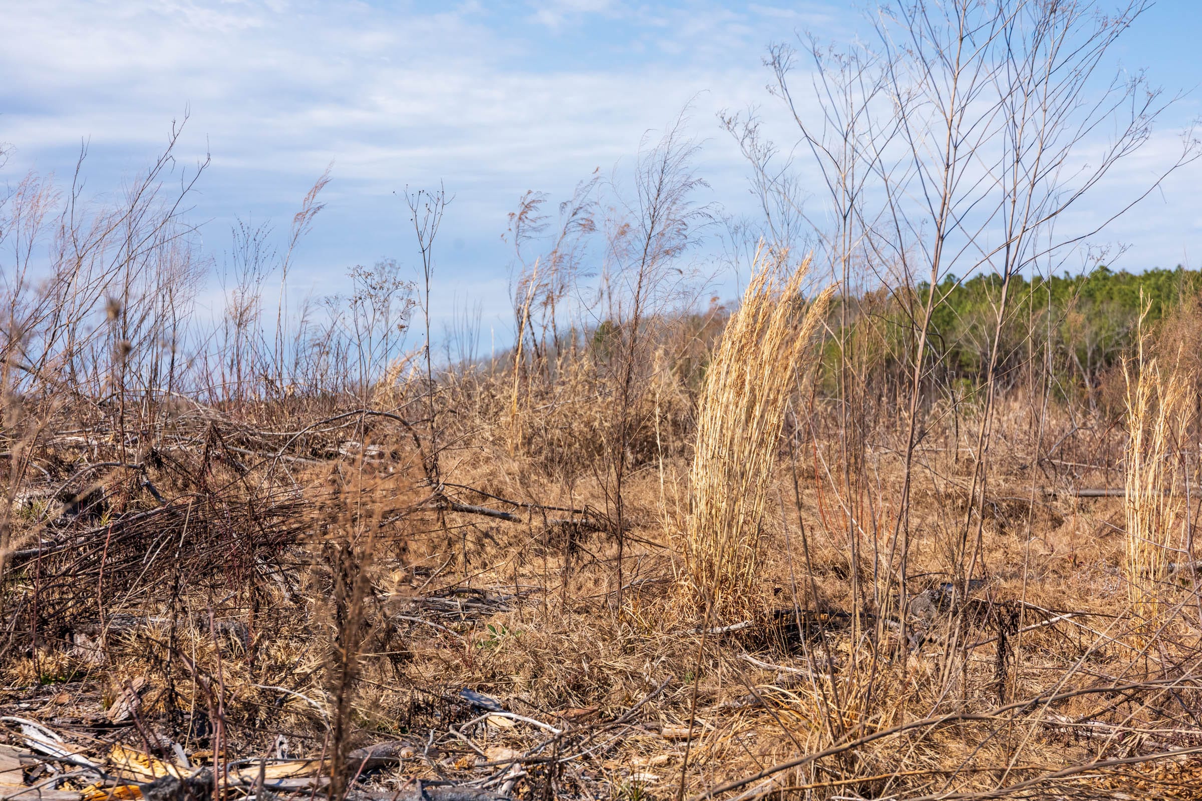 Fairview Hills Tract 9 photo 6