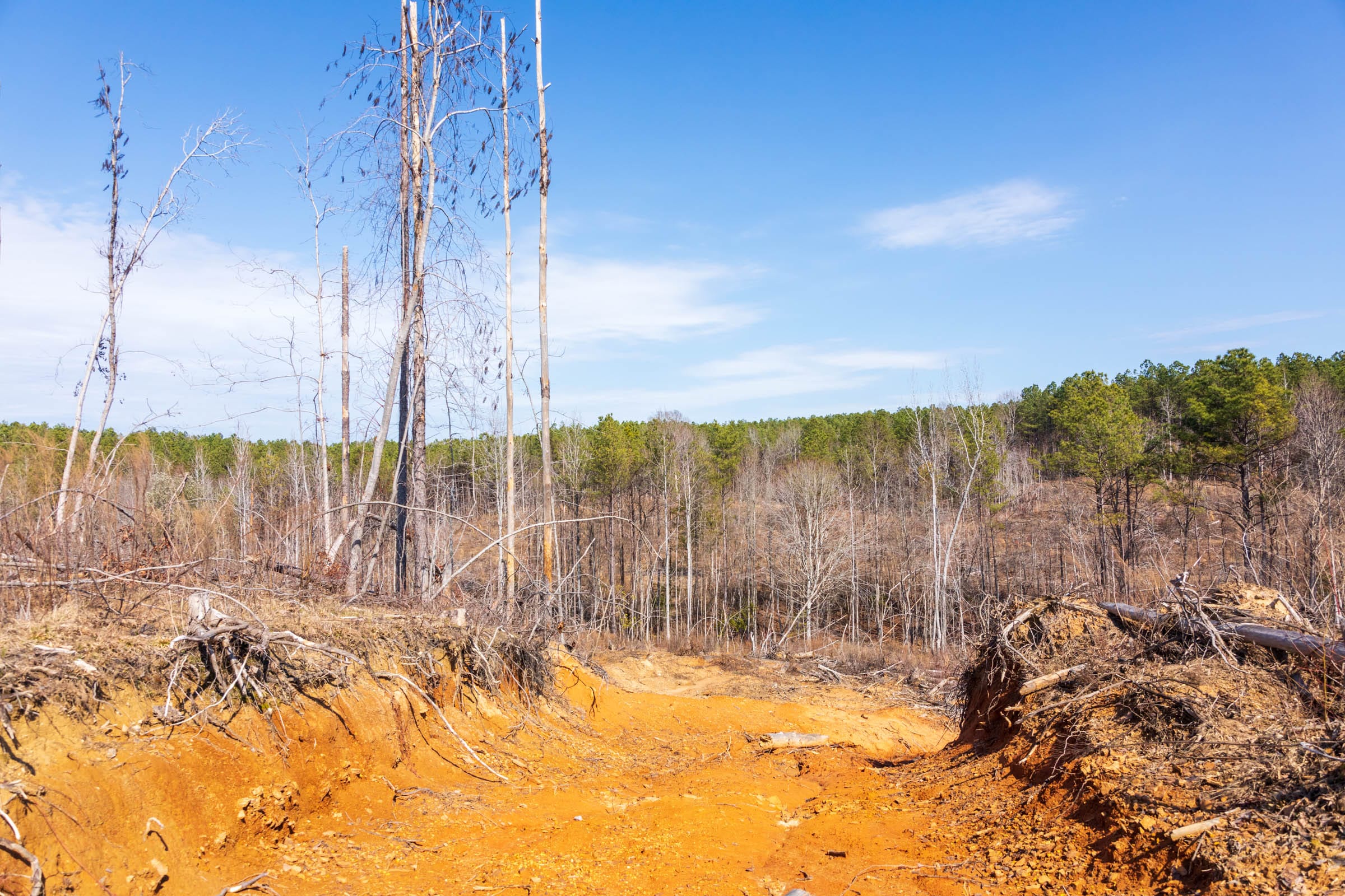 Fairview Hills Tract 9 photo 7
