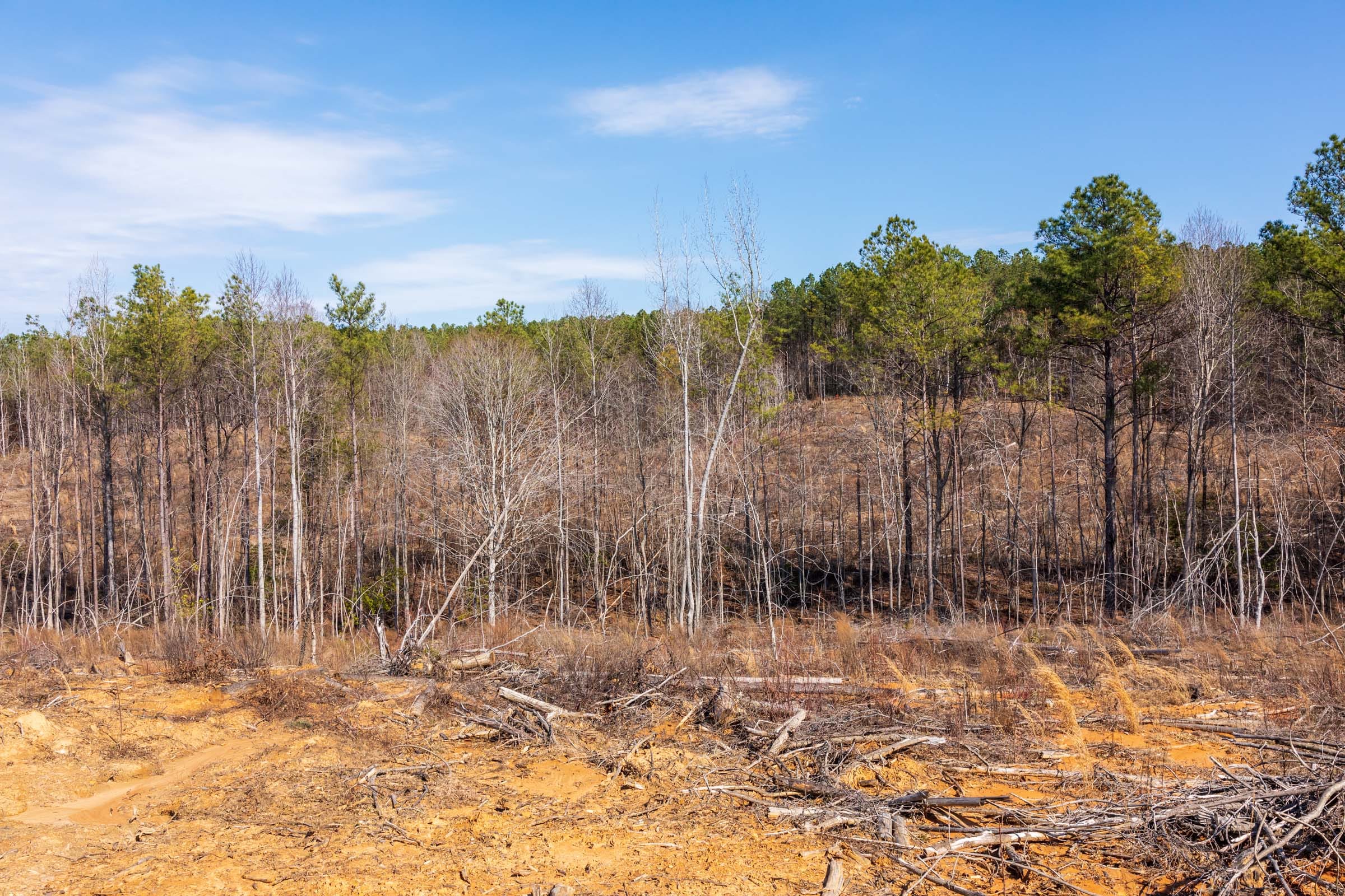 Fairview Hills Tract 9 photo 8