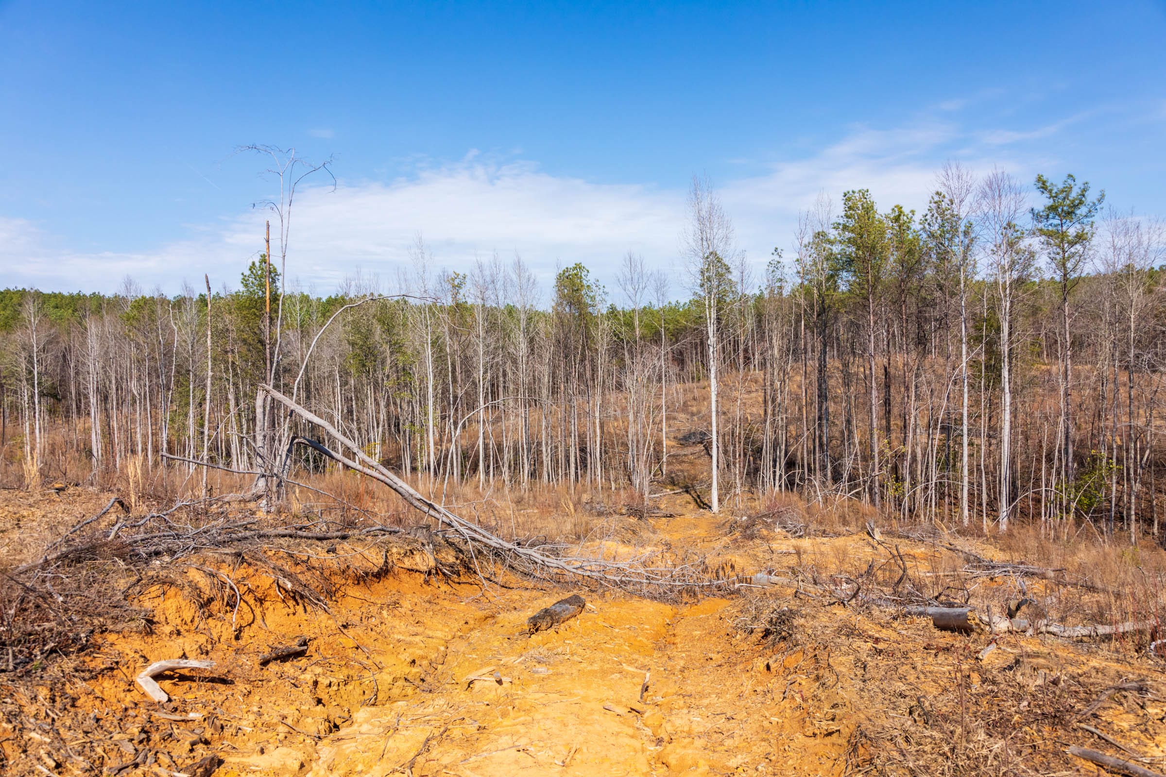 Fairview Hills Tract 9 photo 9