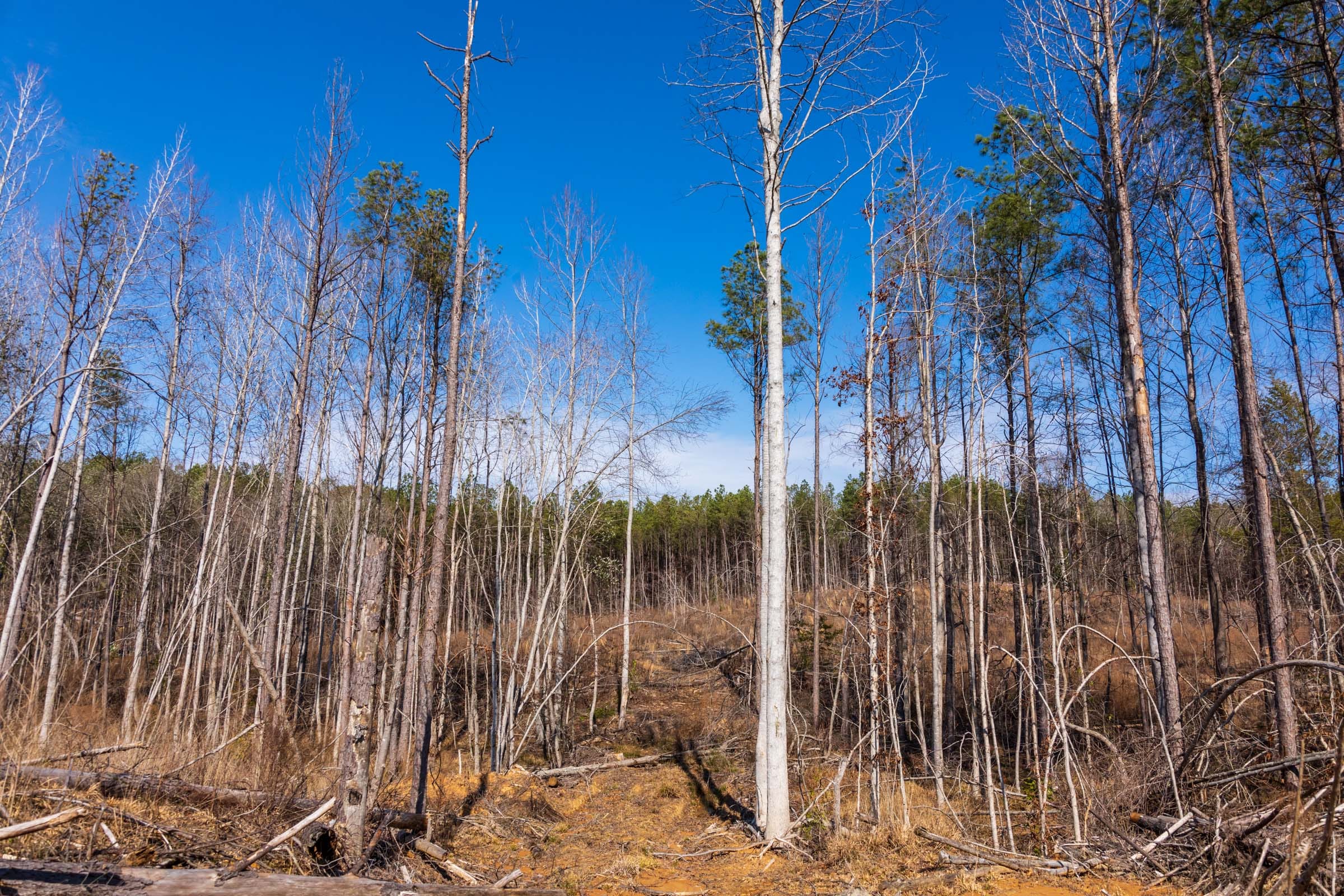 Fairview Hills Tract 9 photo 10