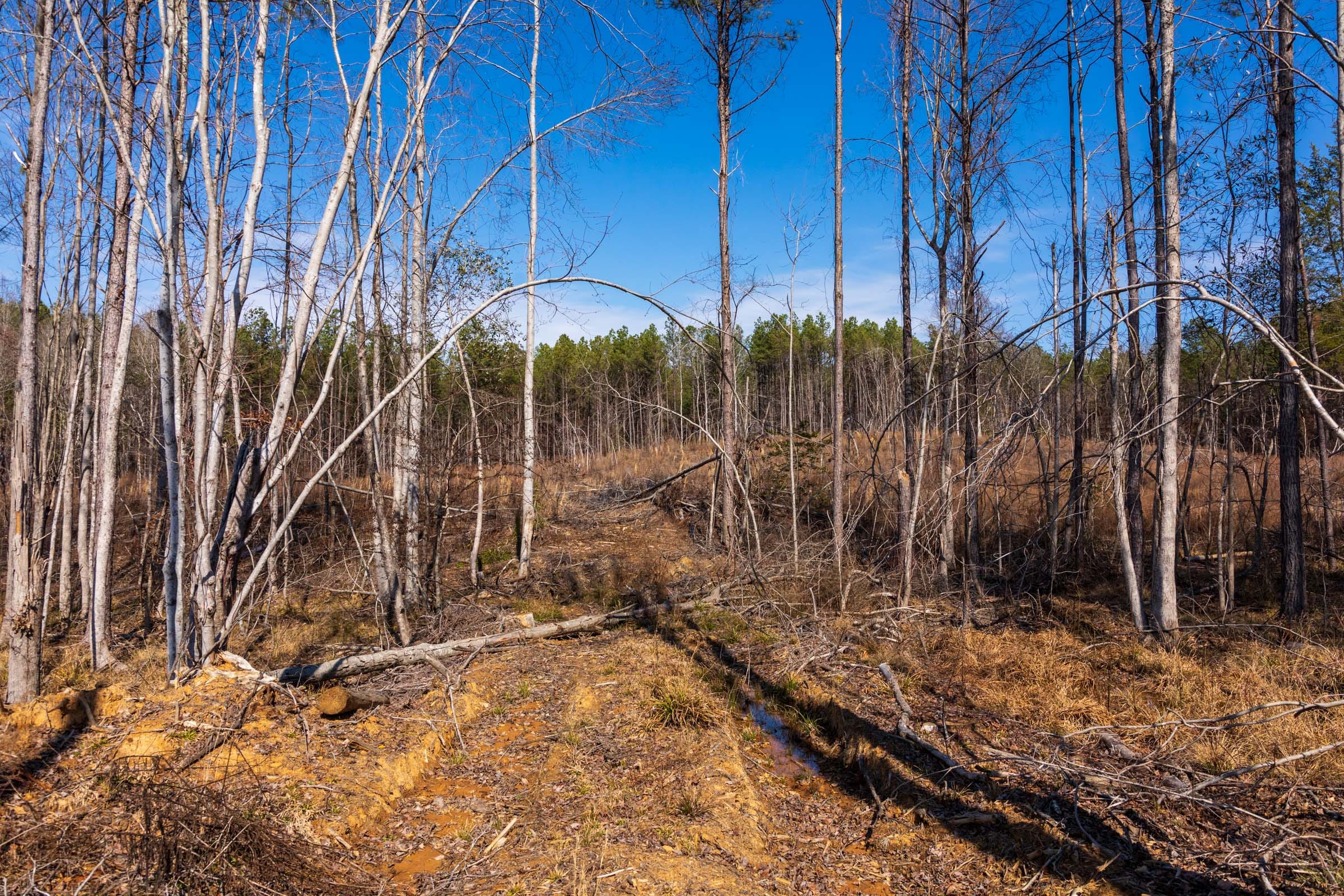 Fairview Hills Tract 9 photo 11