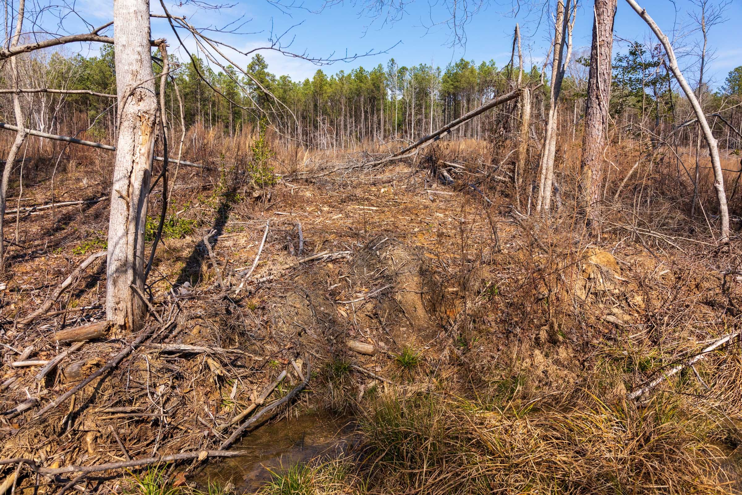 Fairview Hills Tract 9 photo 12