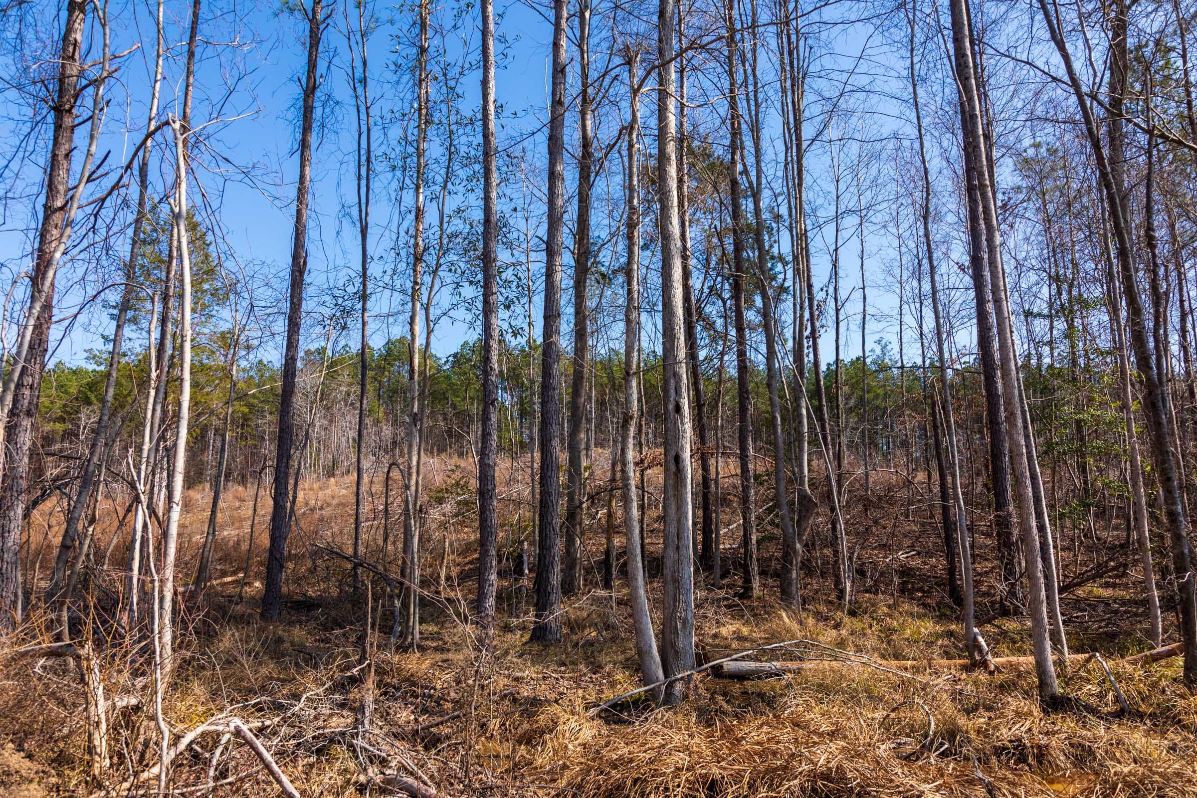 Fairview Hills Tract 9 photo 13