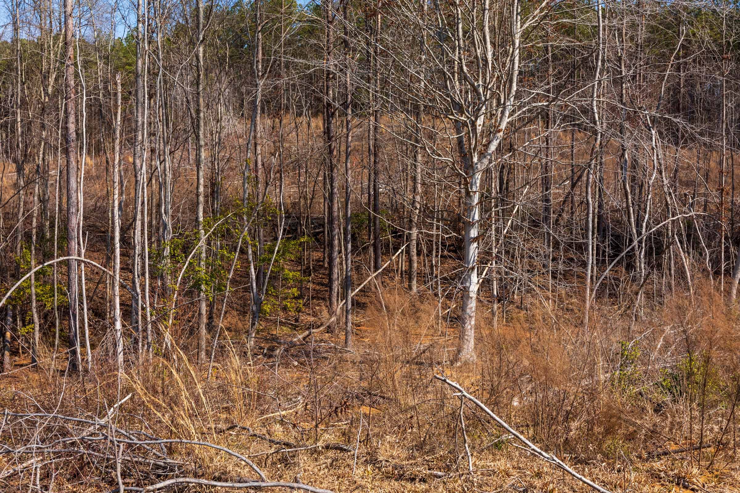 Fairview Hills Tract 9 photo 14