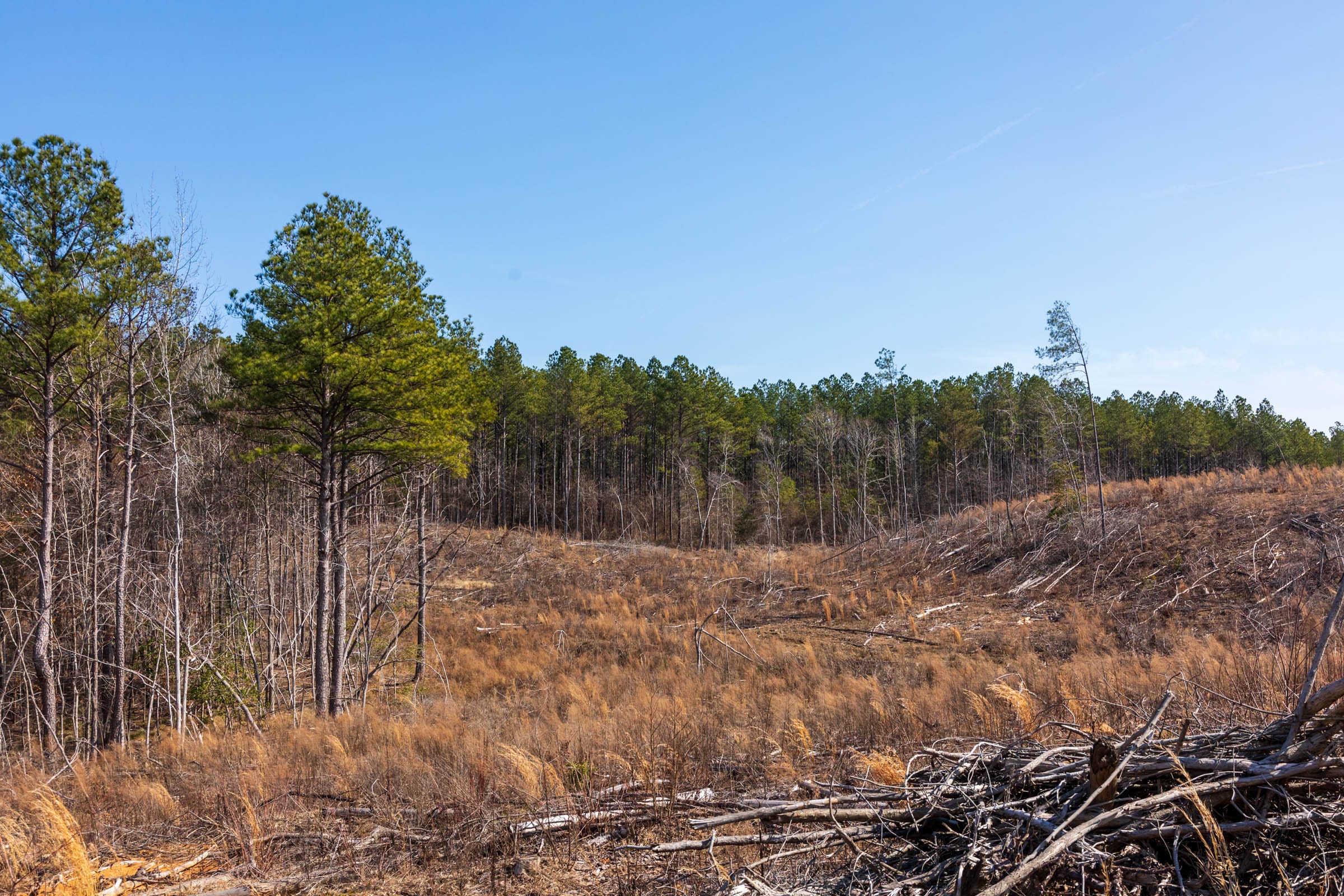 Fairview Hills Tract 9 photo 15