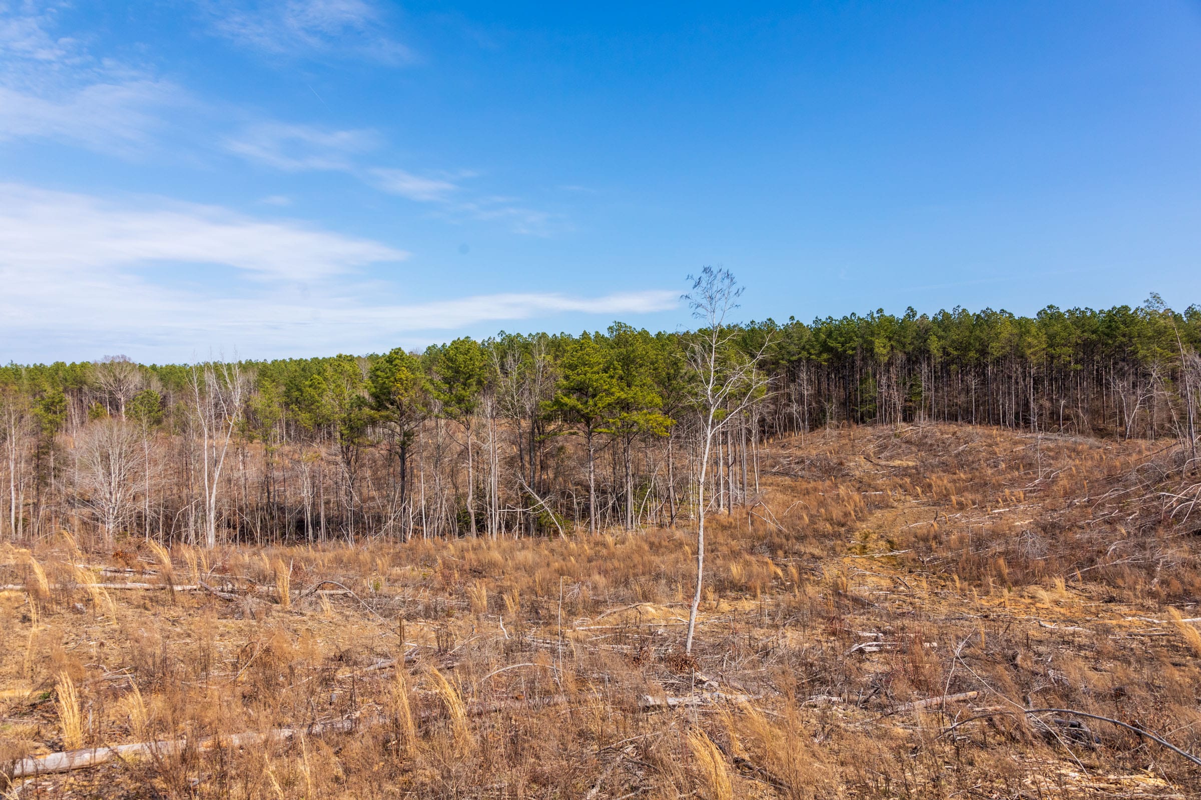 Fairview Hills Tract 9 photo 16
