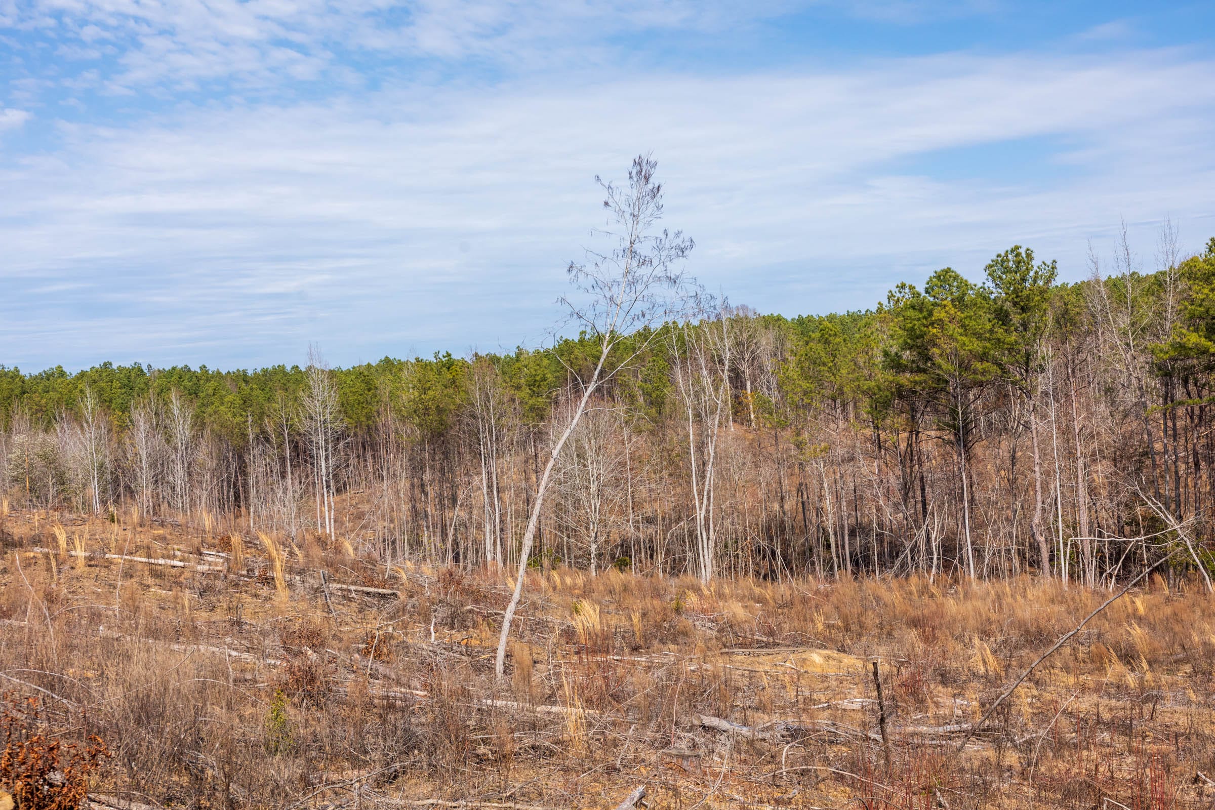Fairview Hills Tract 9 photo 18