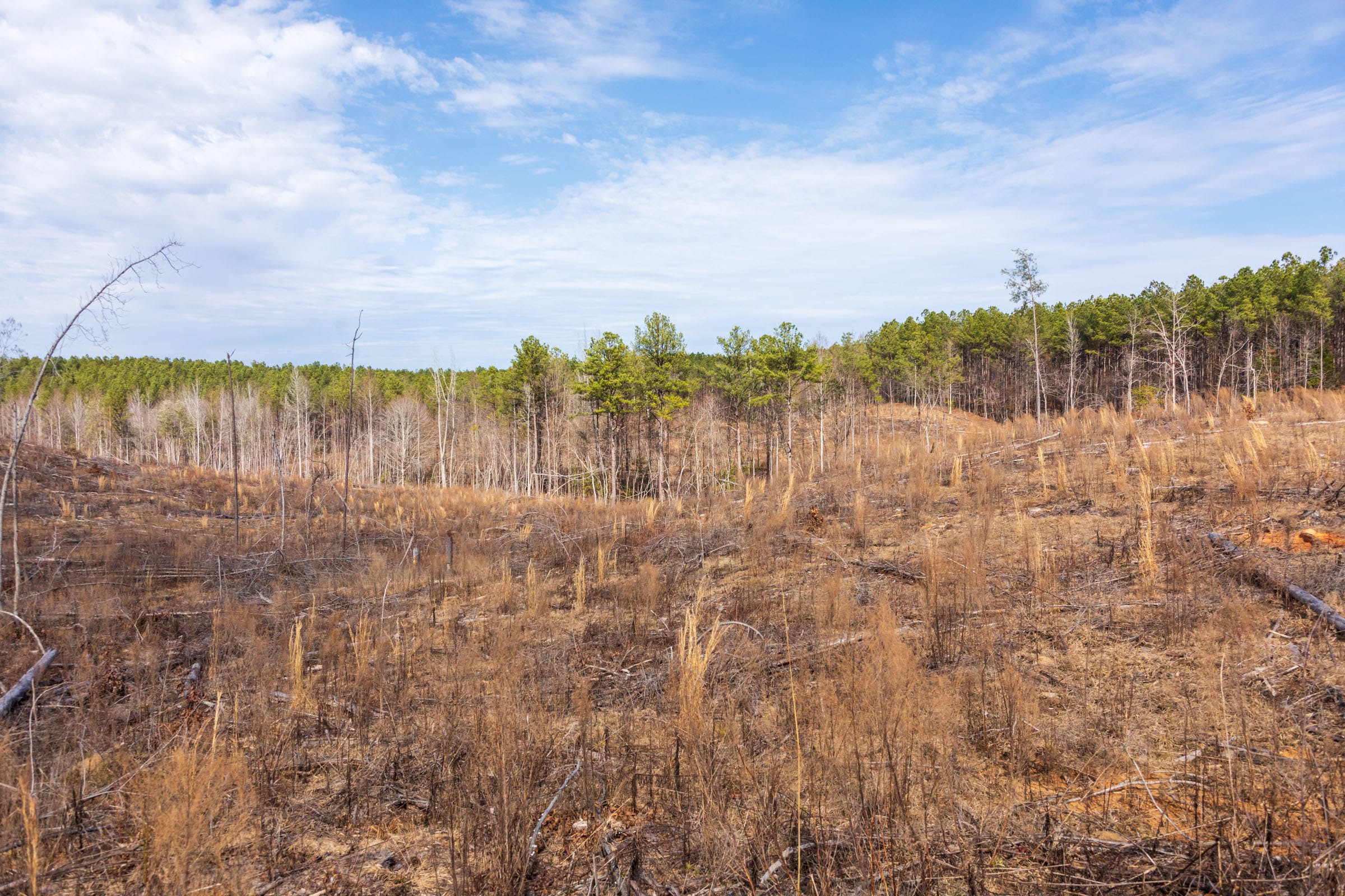 Fairview Hills Tract 9 photo 20