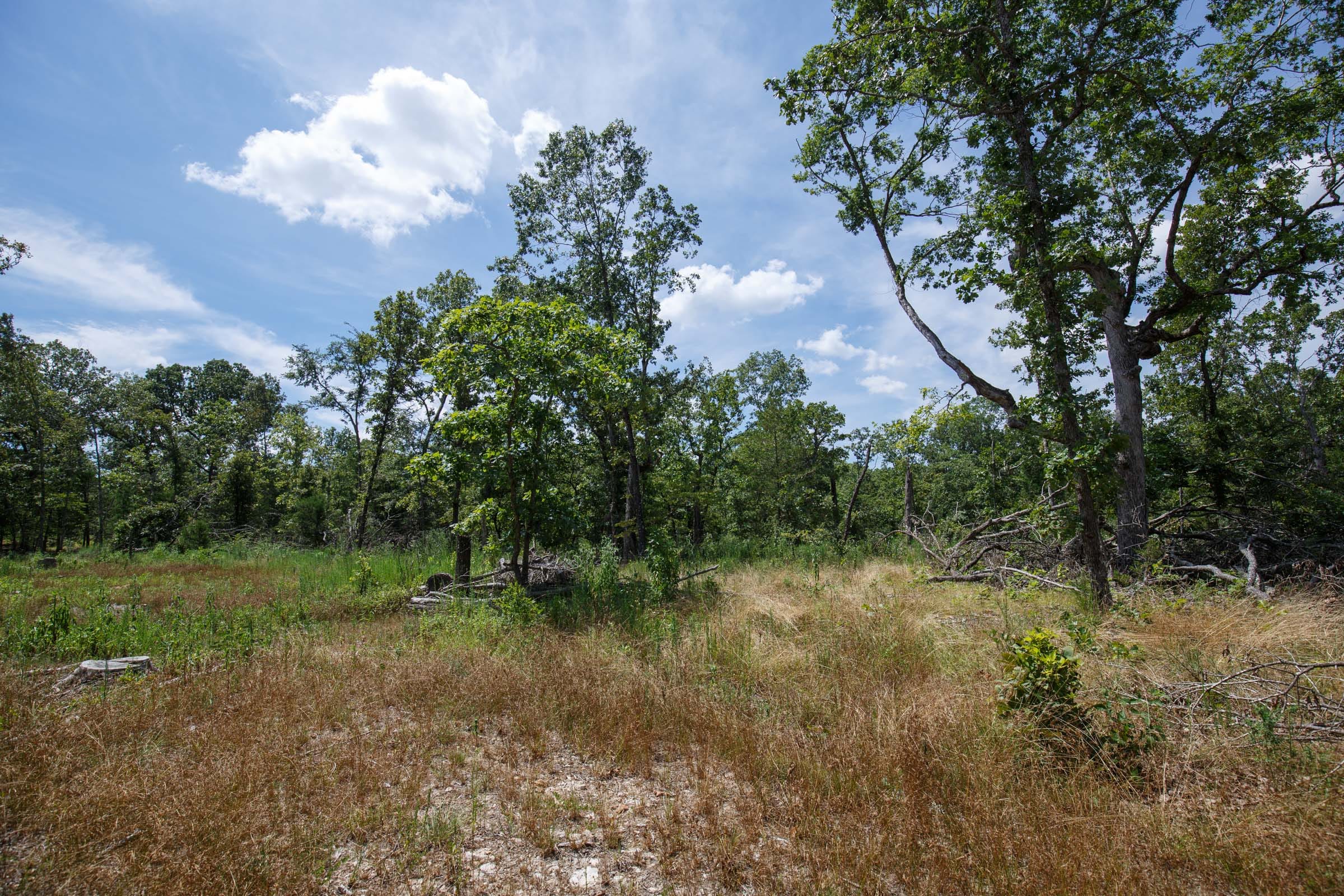 Wildwood Tract 5 photo 2