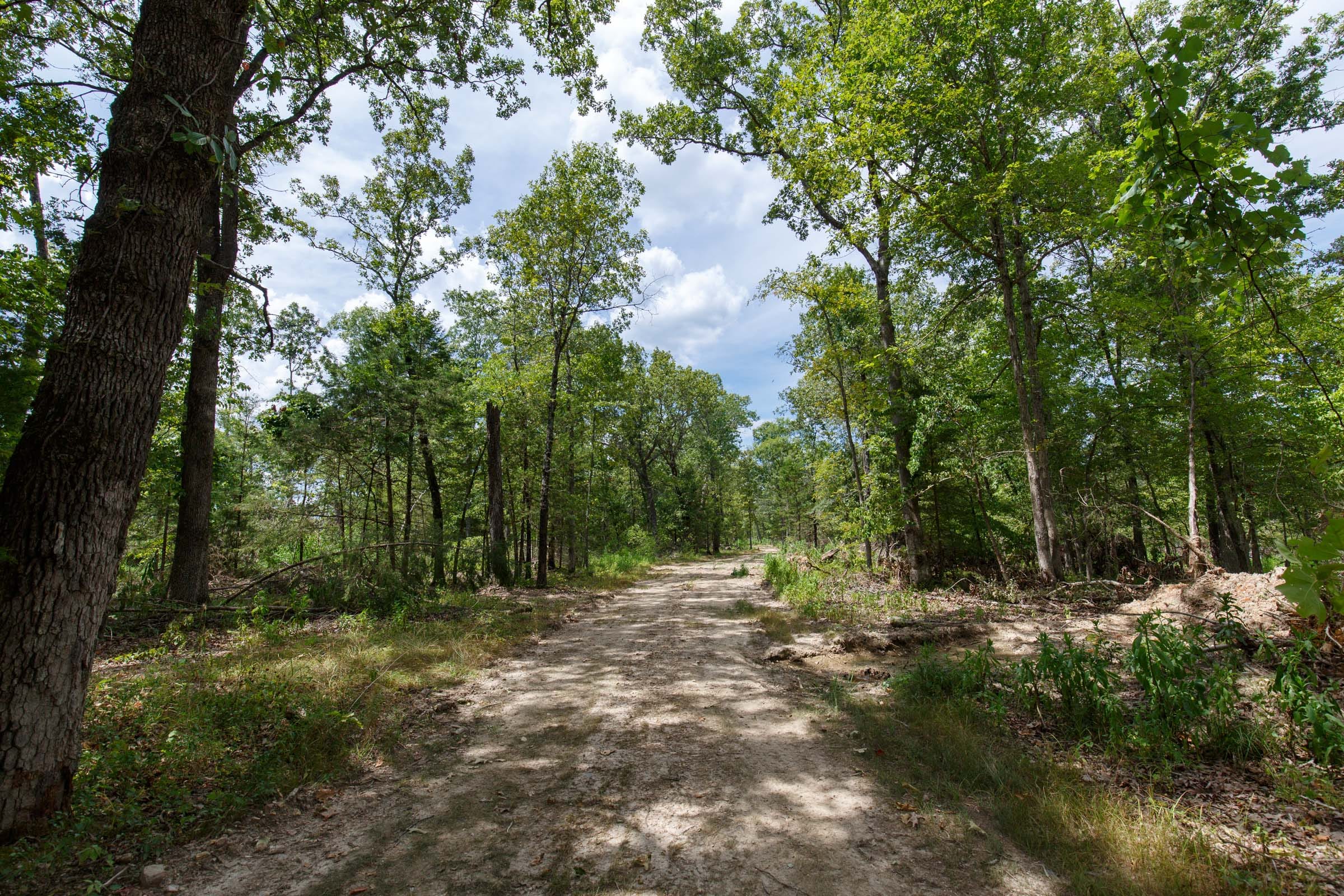 Wildwood Tract 5 photo 5