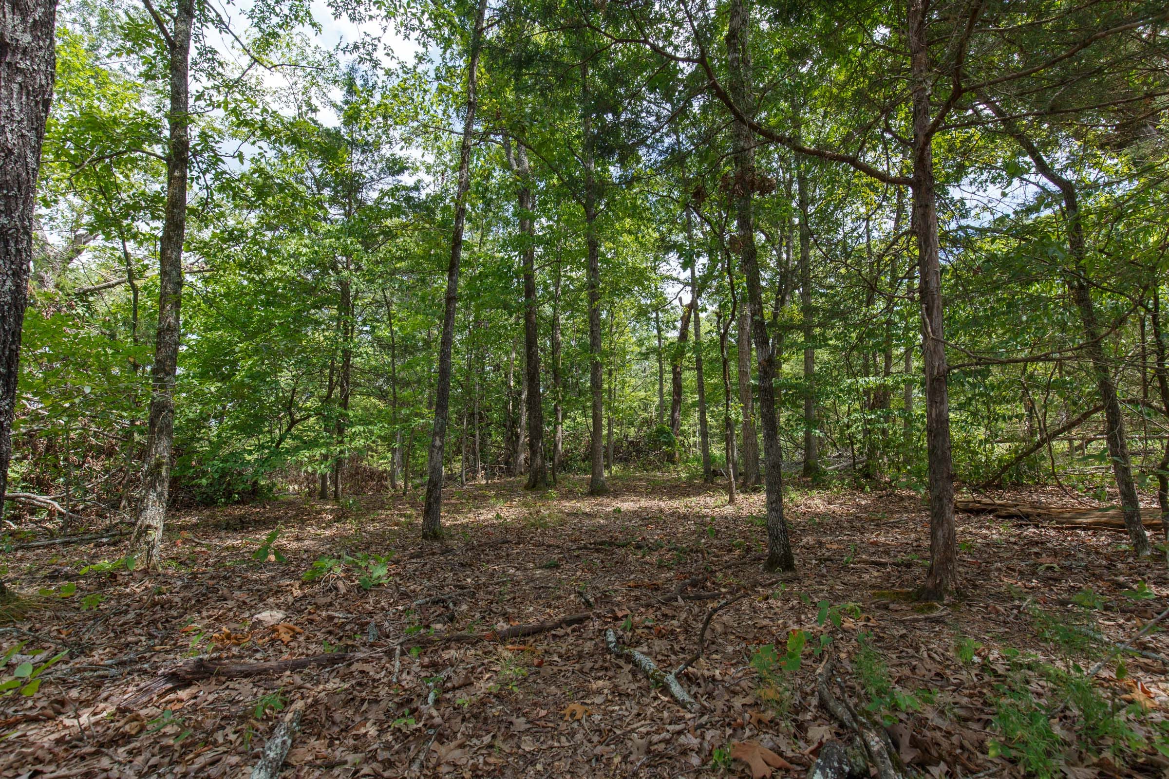 Wildwood Tract 5 photo 4