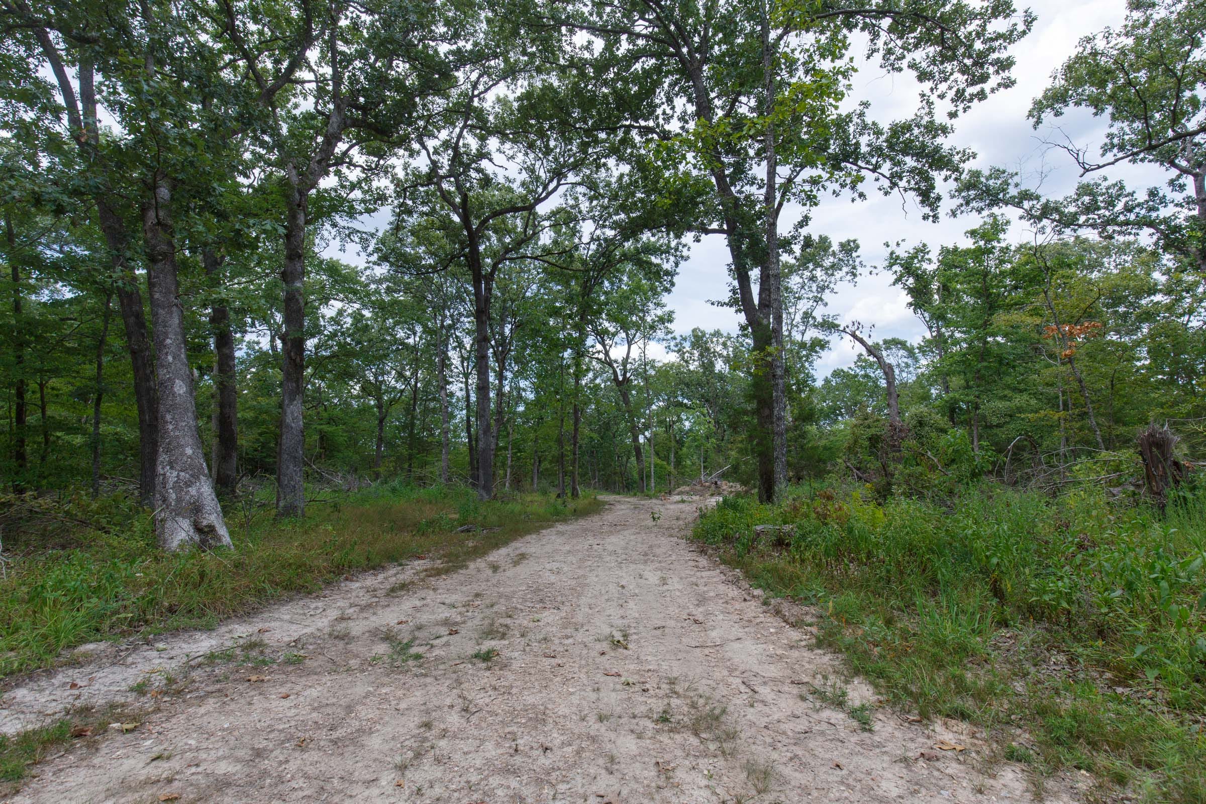 Wildwood Tract 5 photo 7