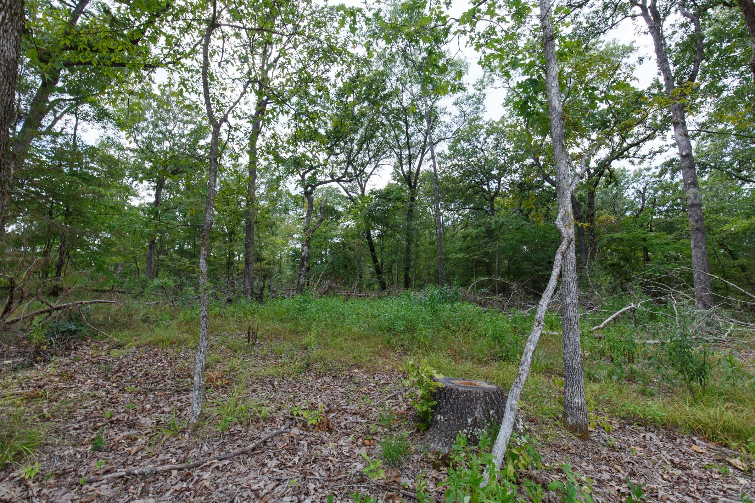Wildwood Tract 5 photo 8
