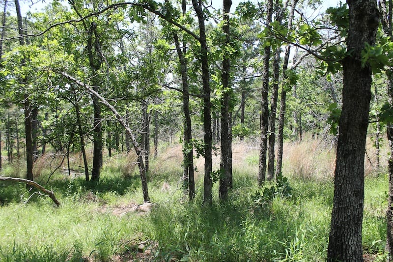 Indian Ridge – Phase II Tract 83 photo 1