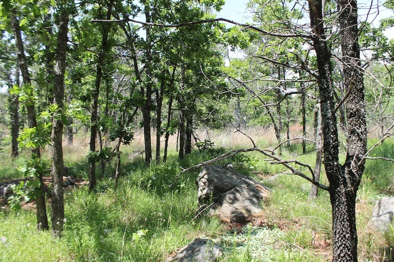 Indian Ridge – Phase II Tract 83 photo 4