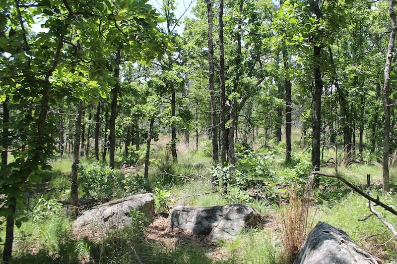 Indian Ridge – Phase II Tract 83 photo 5