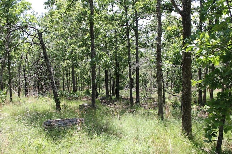 Indian Ridge – Phase II Tract 83 photo 6