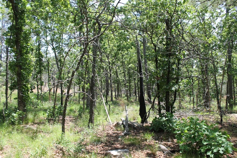 Indian Ridge – Phase II Tract 83 photo 7