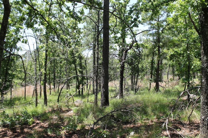 Indian Ridge – Phase II Tract 83 photo 10