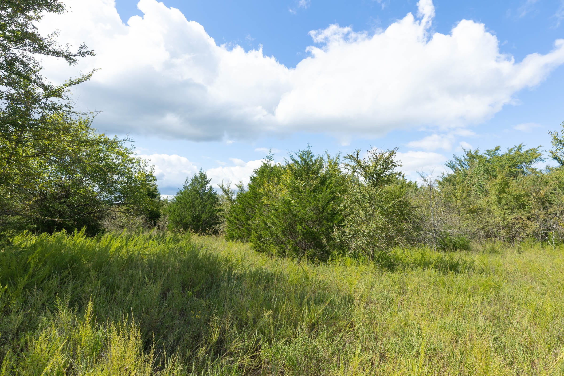 Reserves At Cattail Cove Phase II Tract 92 photo 17