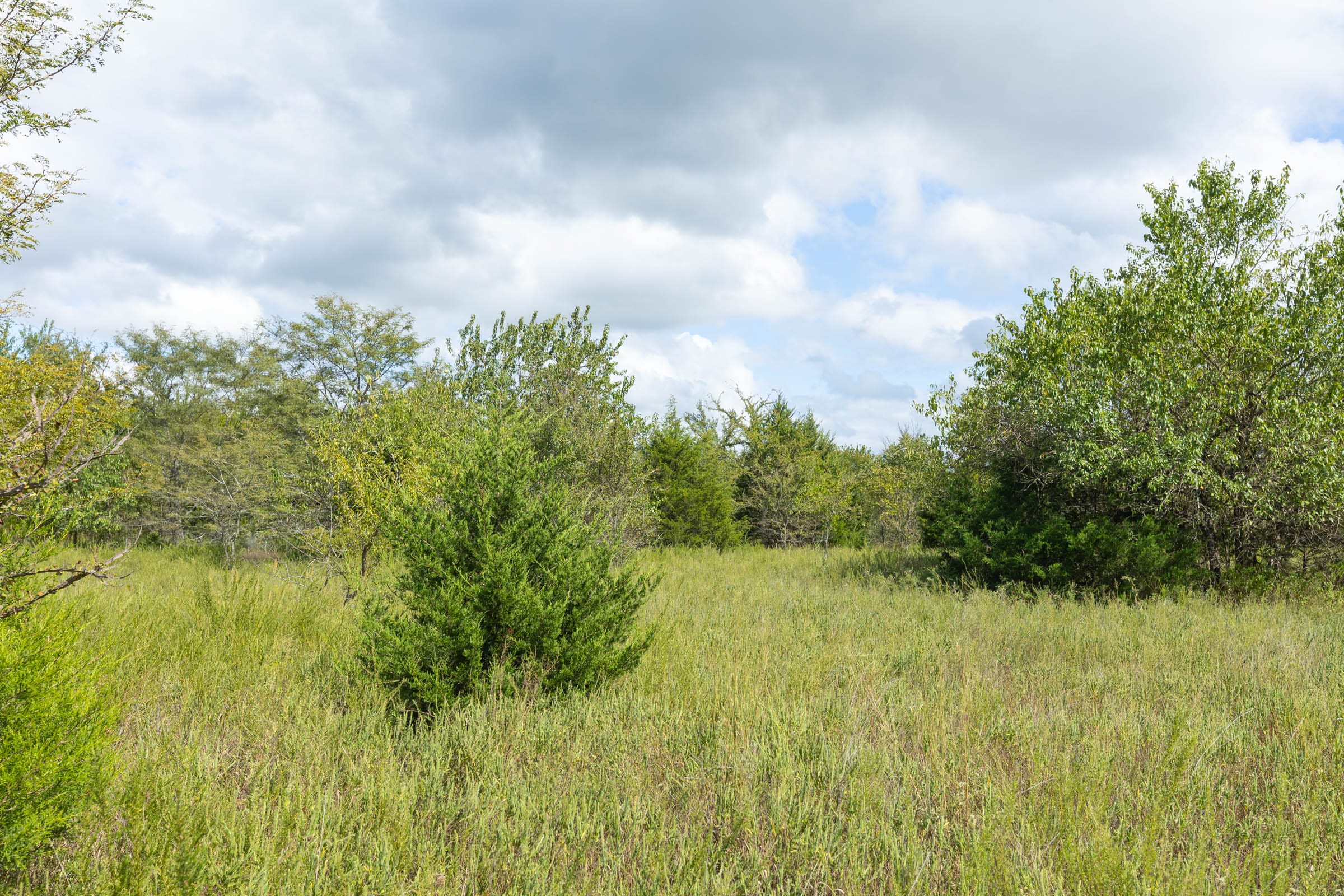 Reserves At Cattail Cove Phase II Tract 92 photo 16
