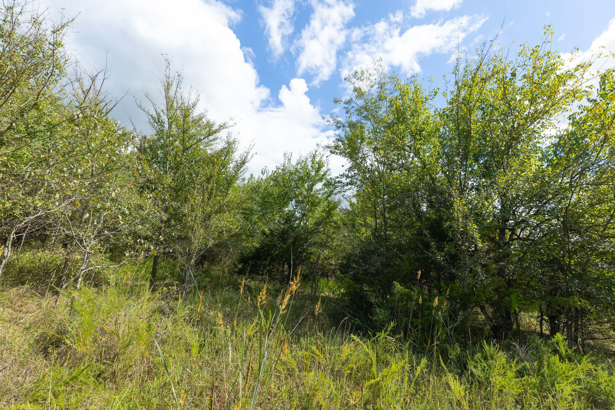 Reserves At Cattail Cove Phase II Tract 92 photo 15