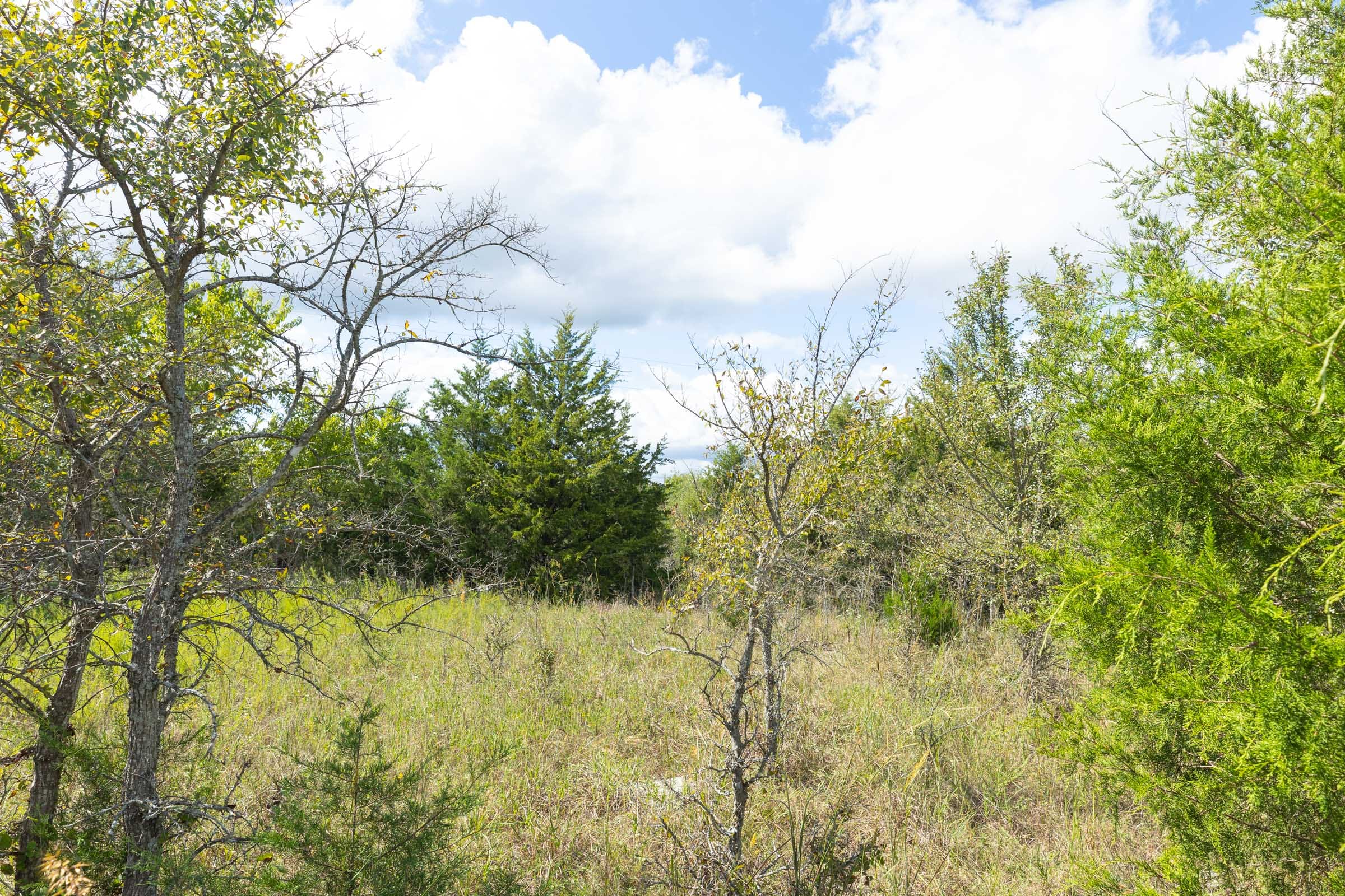 Reserves At Cattail Cove Phase II Tract 92 photo 14