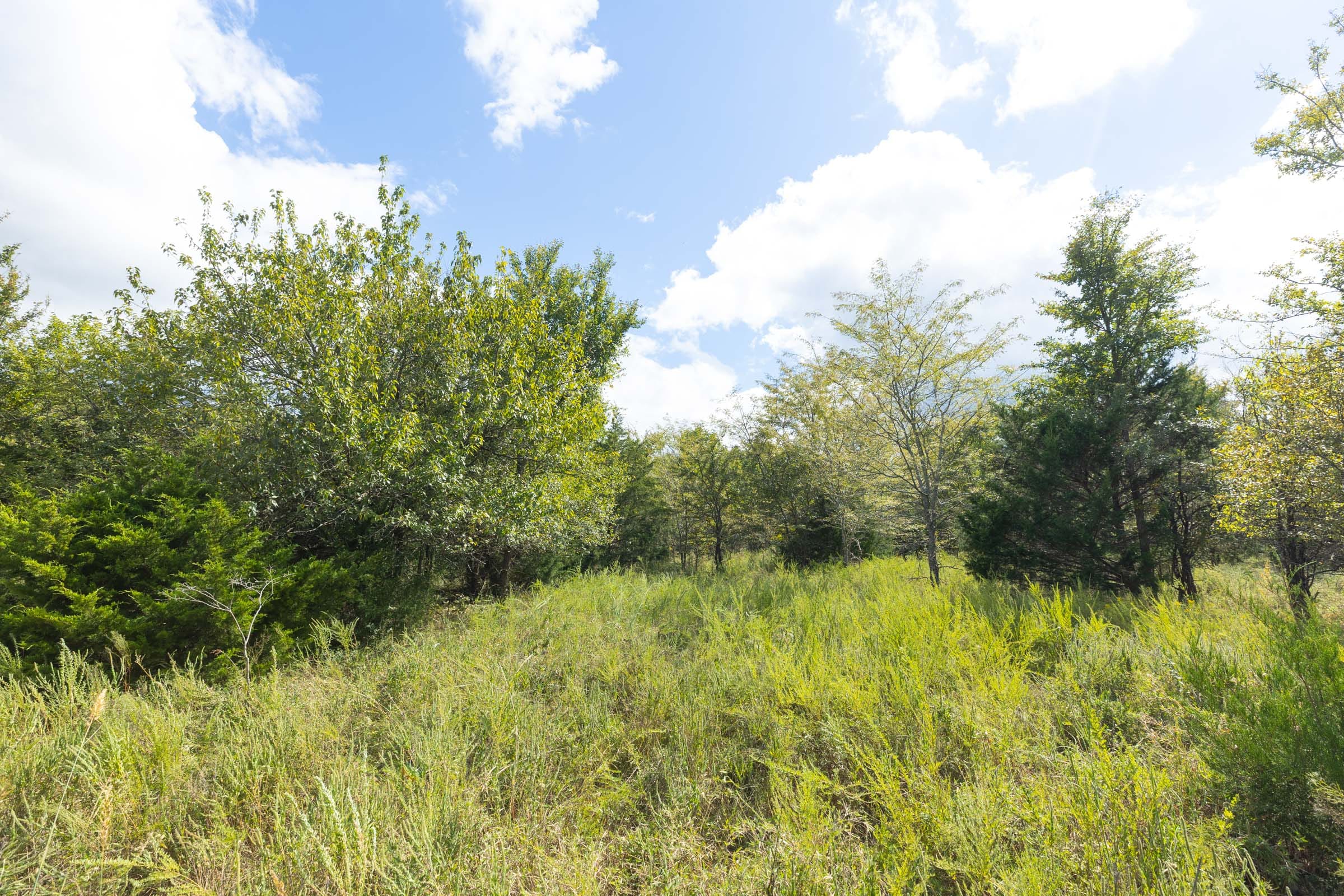 Reserves At Cattail Cove Phase II Tract 92 photo 12