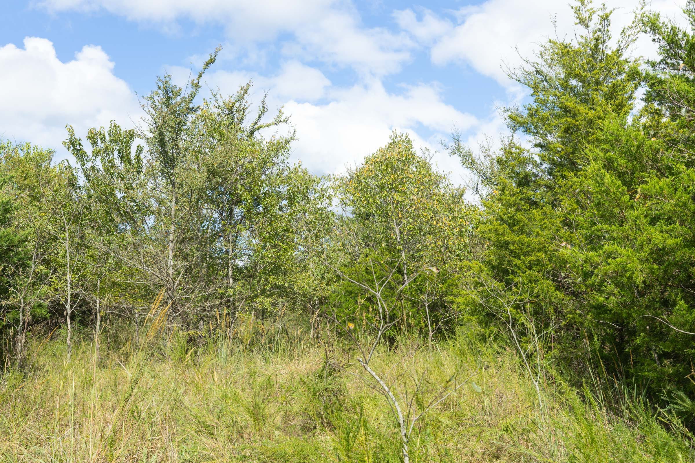 Reserves At Cattail Cove Phase II Tract 92 photo 10