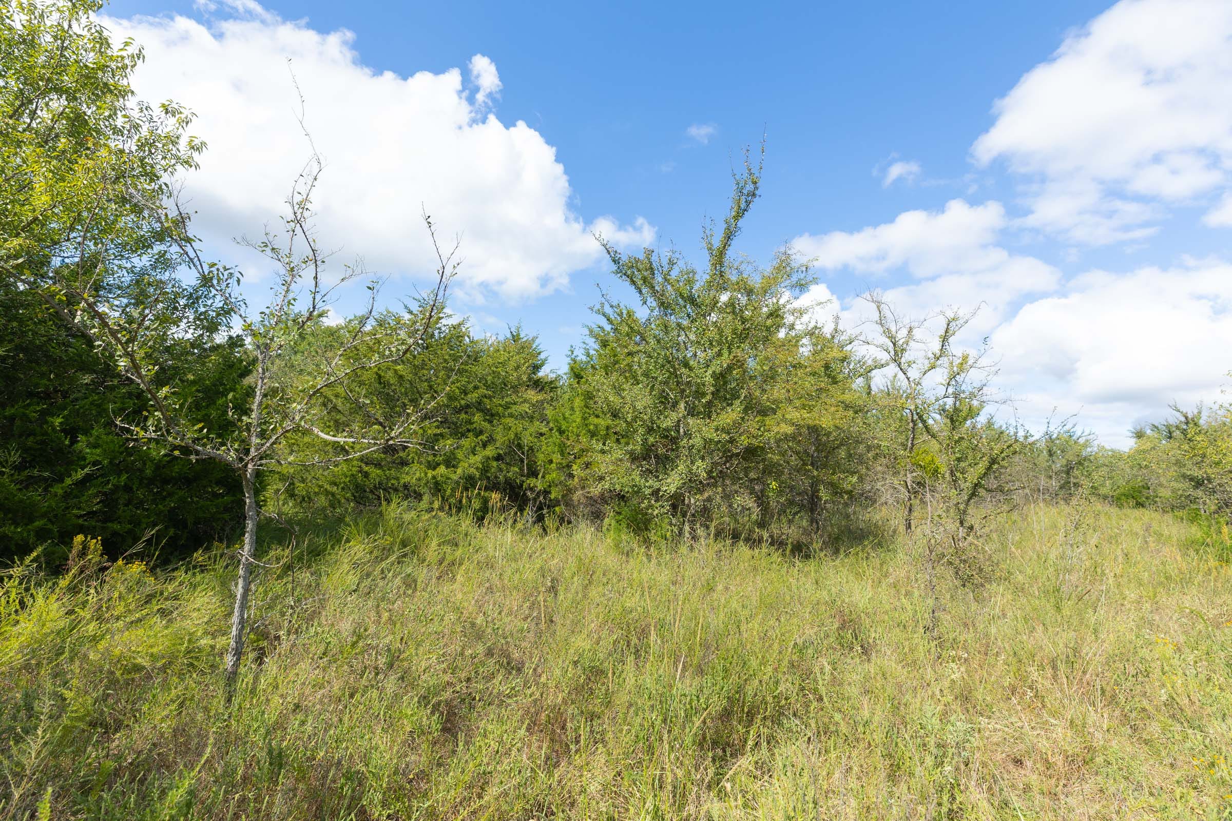 Reserves At Cattail Cove Phase II Tract 92 photo 9