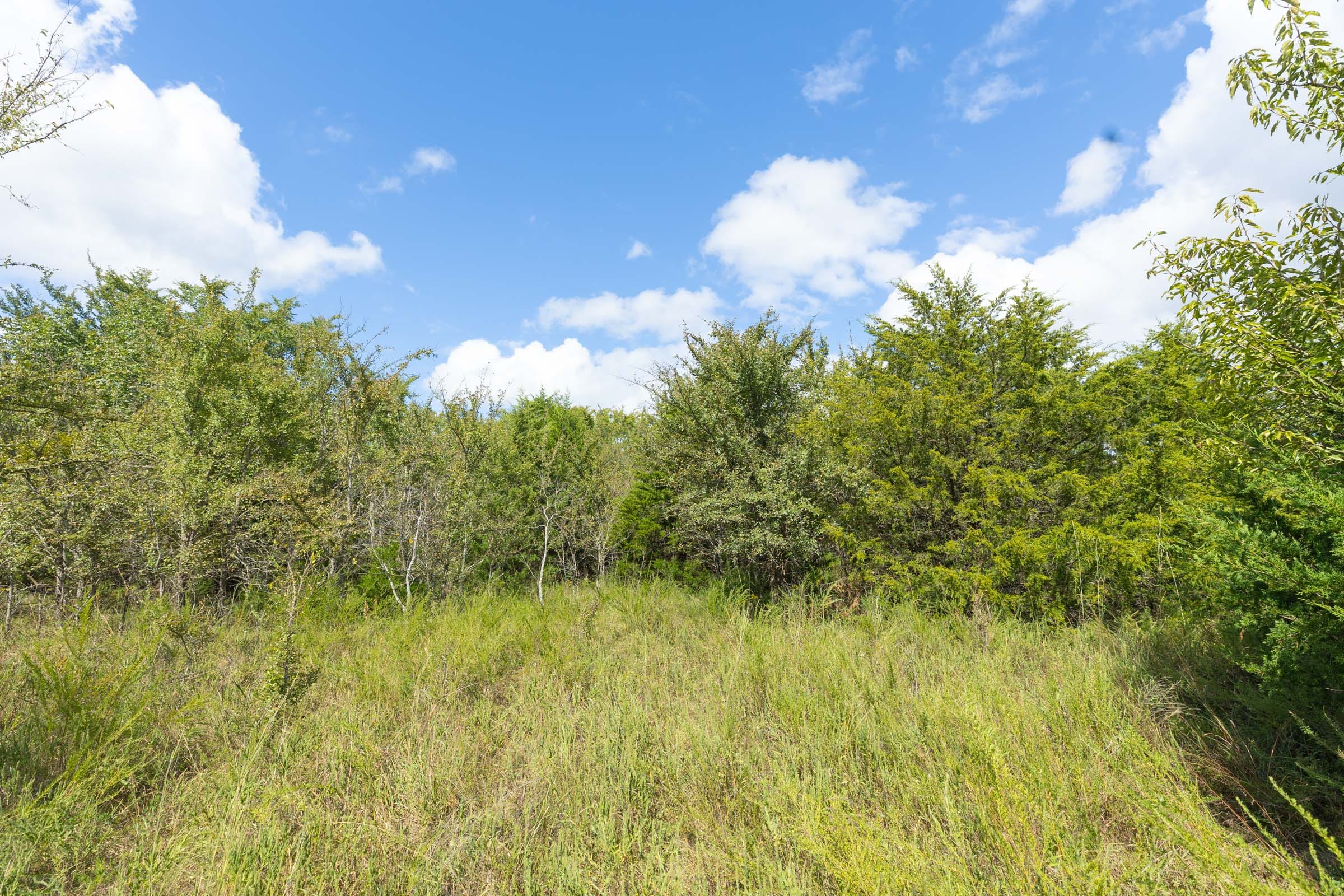 Reserves At Cattail Cove Phase II Tract 92 photo 8