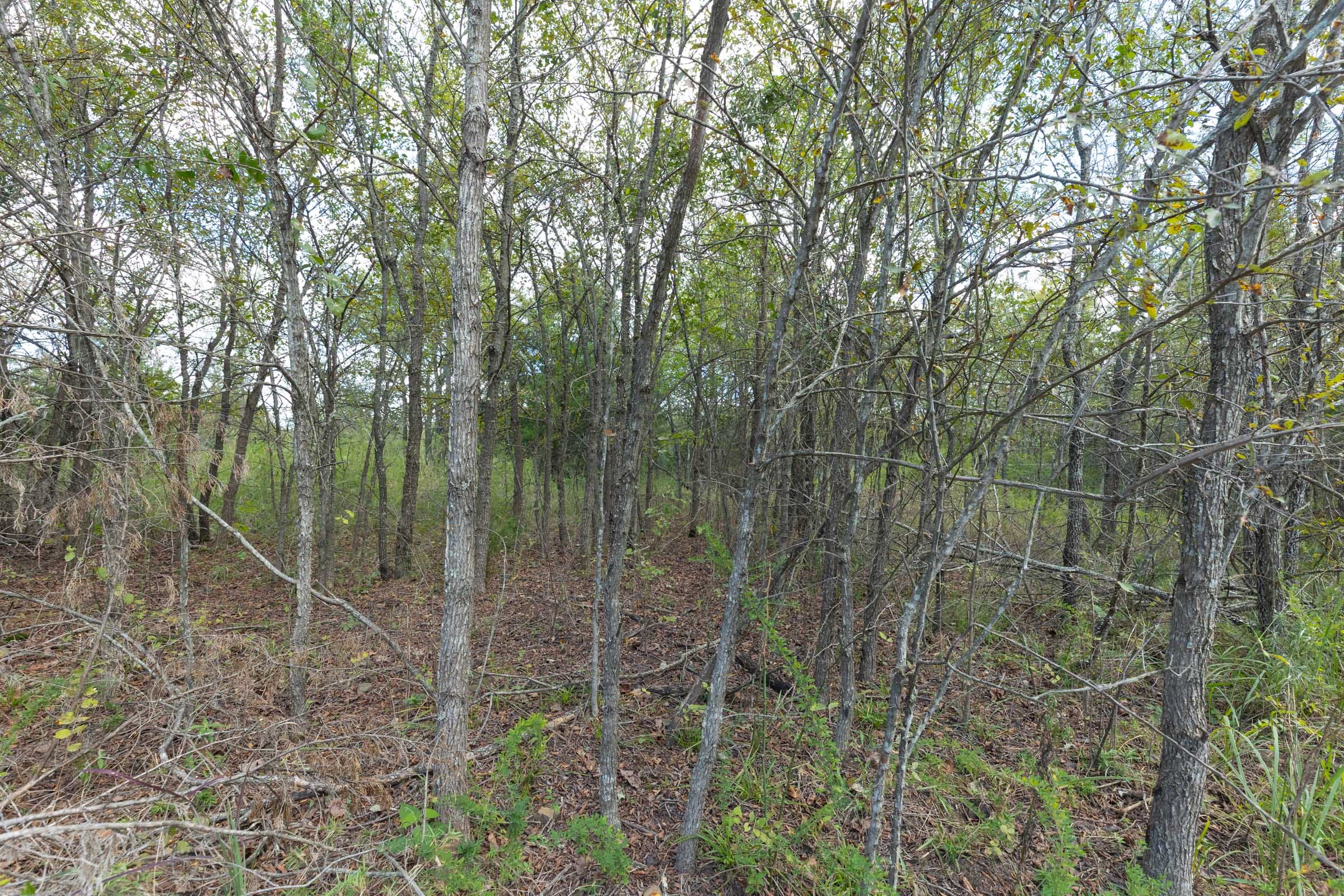 Reserves At Cattail Cove Phase II Tract 92 photo 18