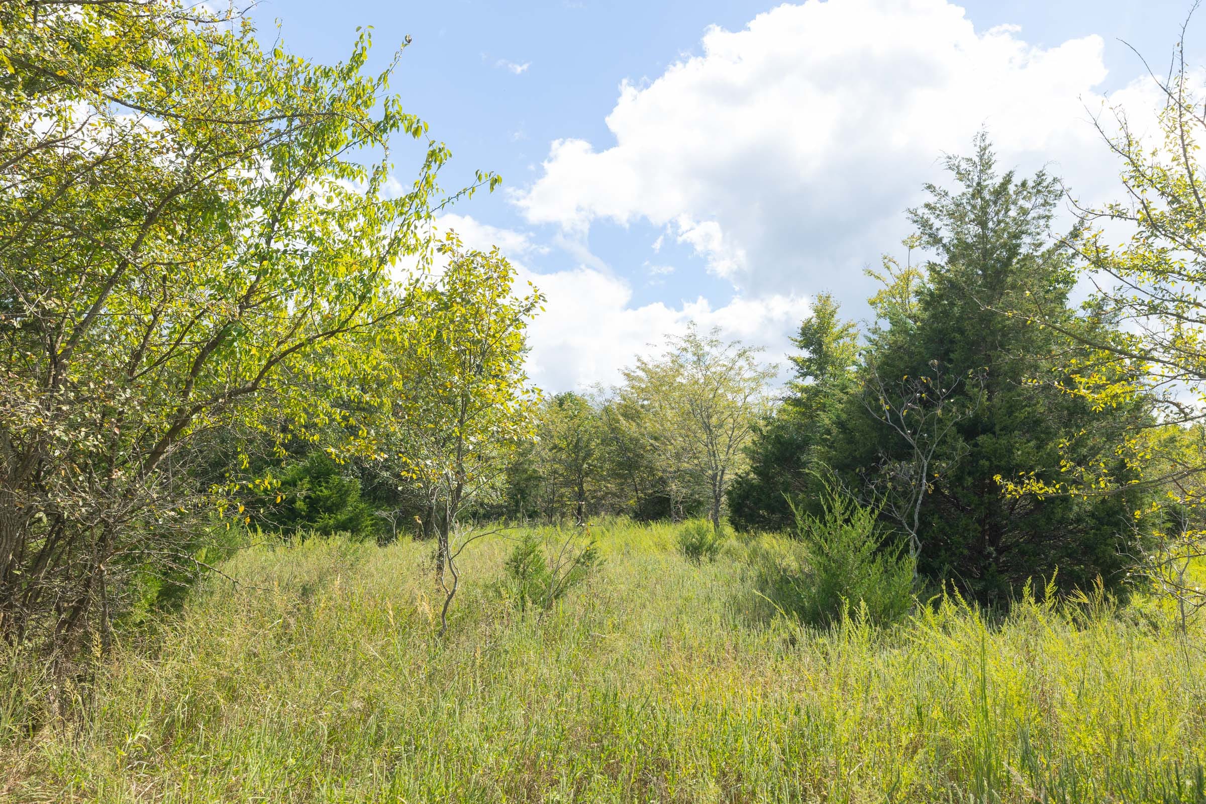 Reserves At Cattail Cove Phase II Tract 92 photo 7