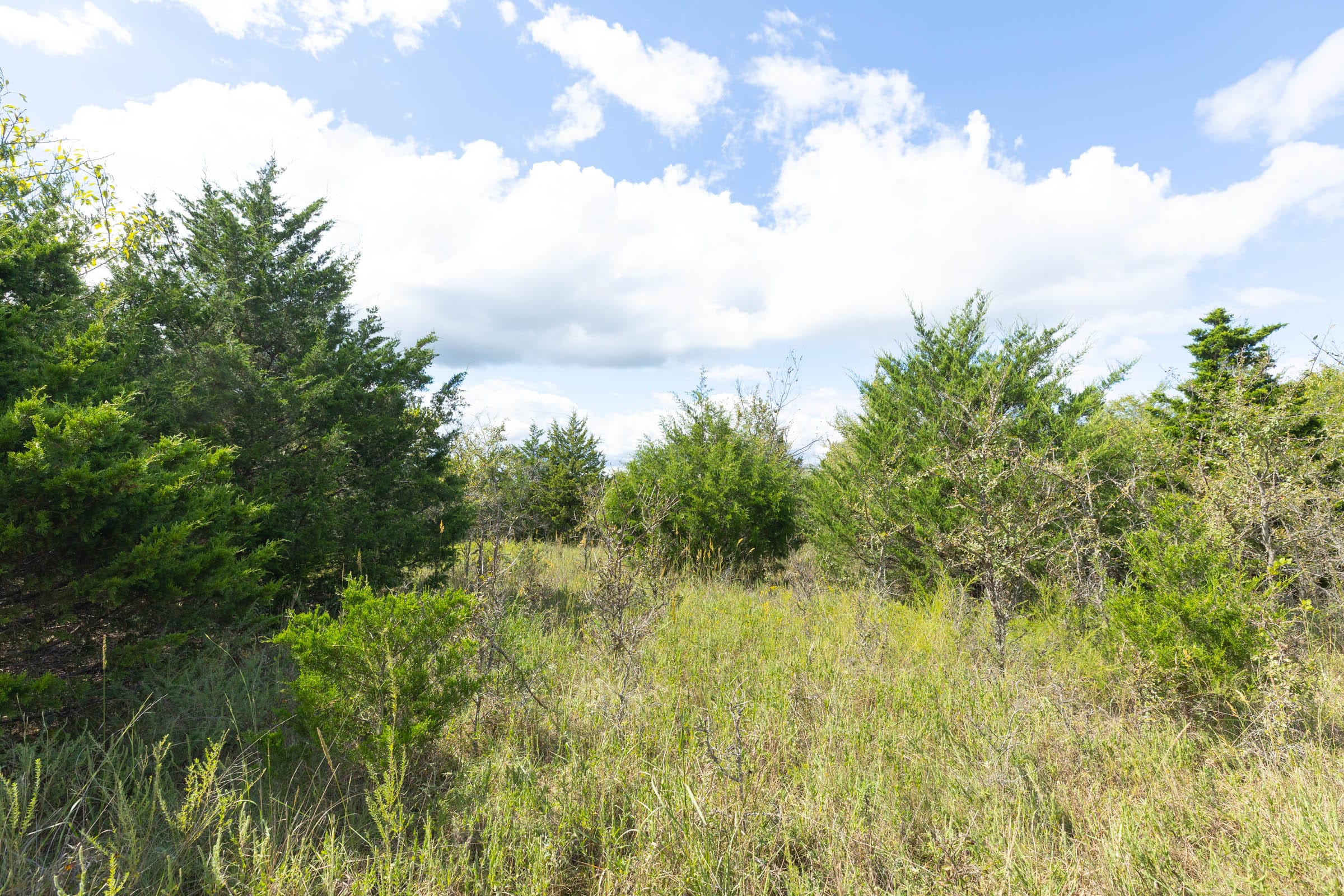 Reserves At Cattail Cove Phase II Tract 92 photo 6