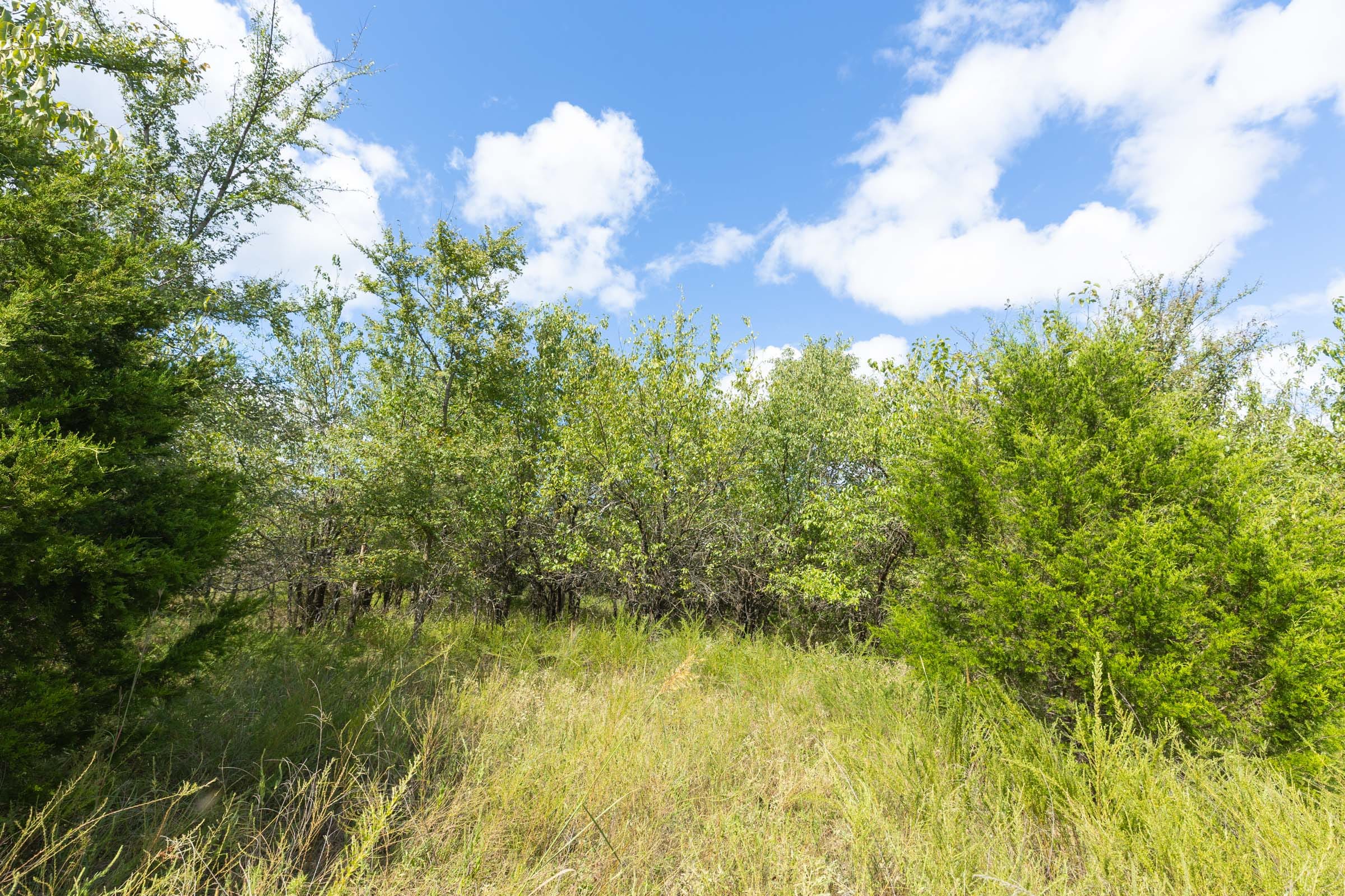 Reserves At Cattail Cove Phase II Tract 92 photo 5