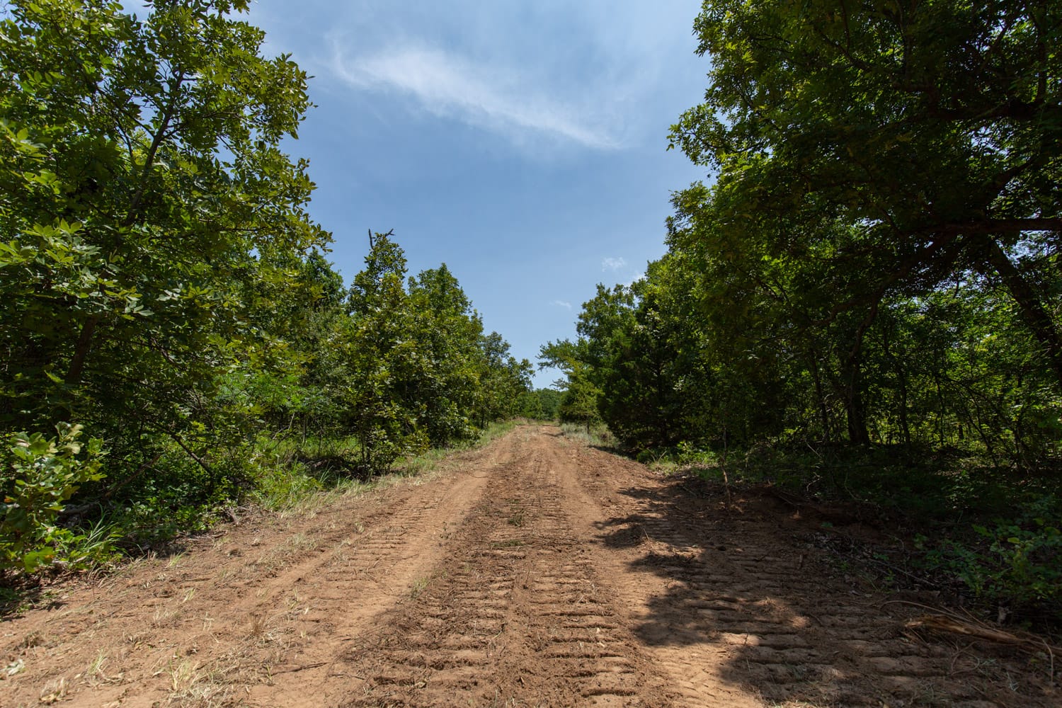 Timber Ridge Tract 58 photo 1