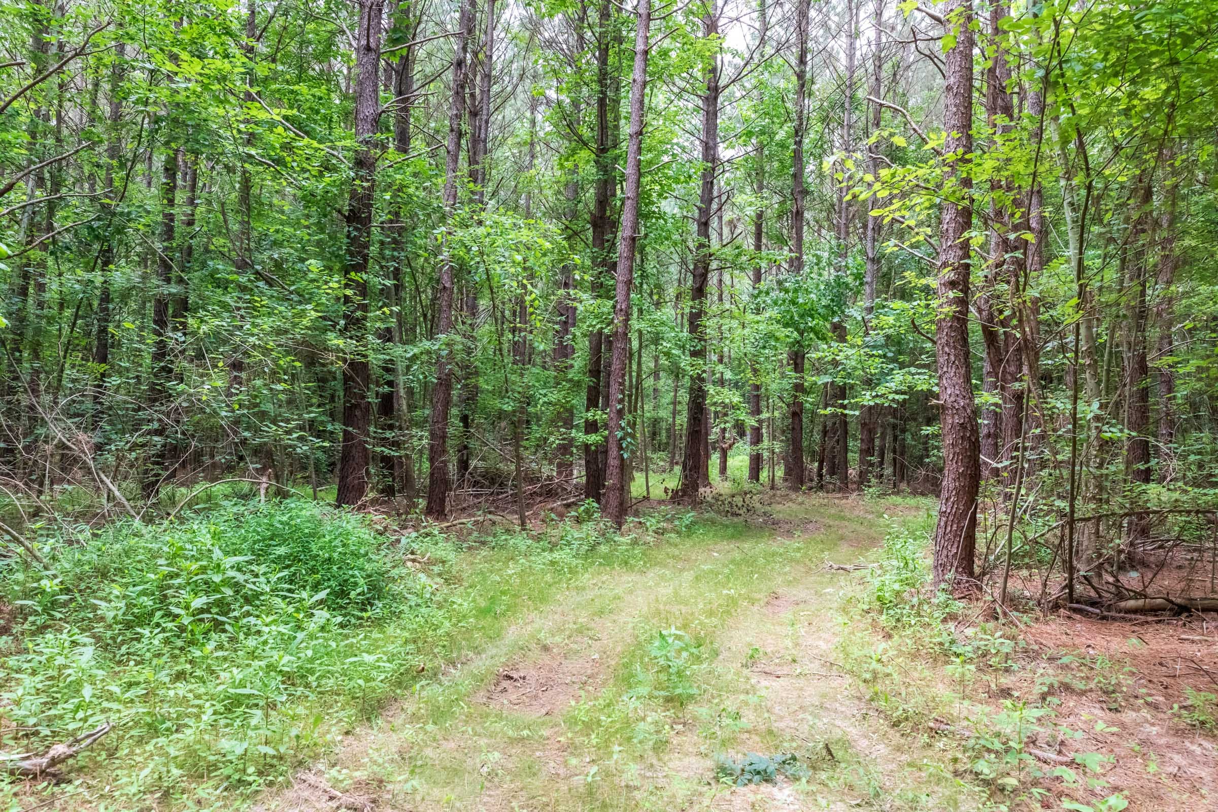 Whiskey Ridge Tract 11 photo 1