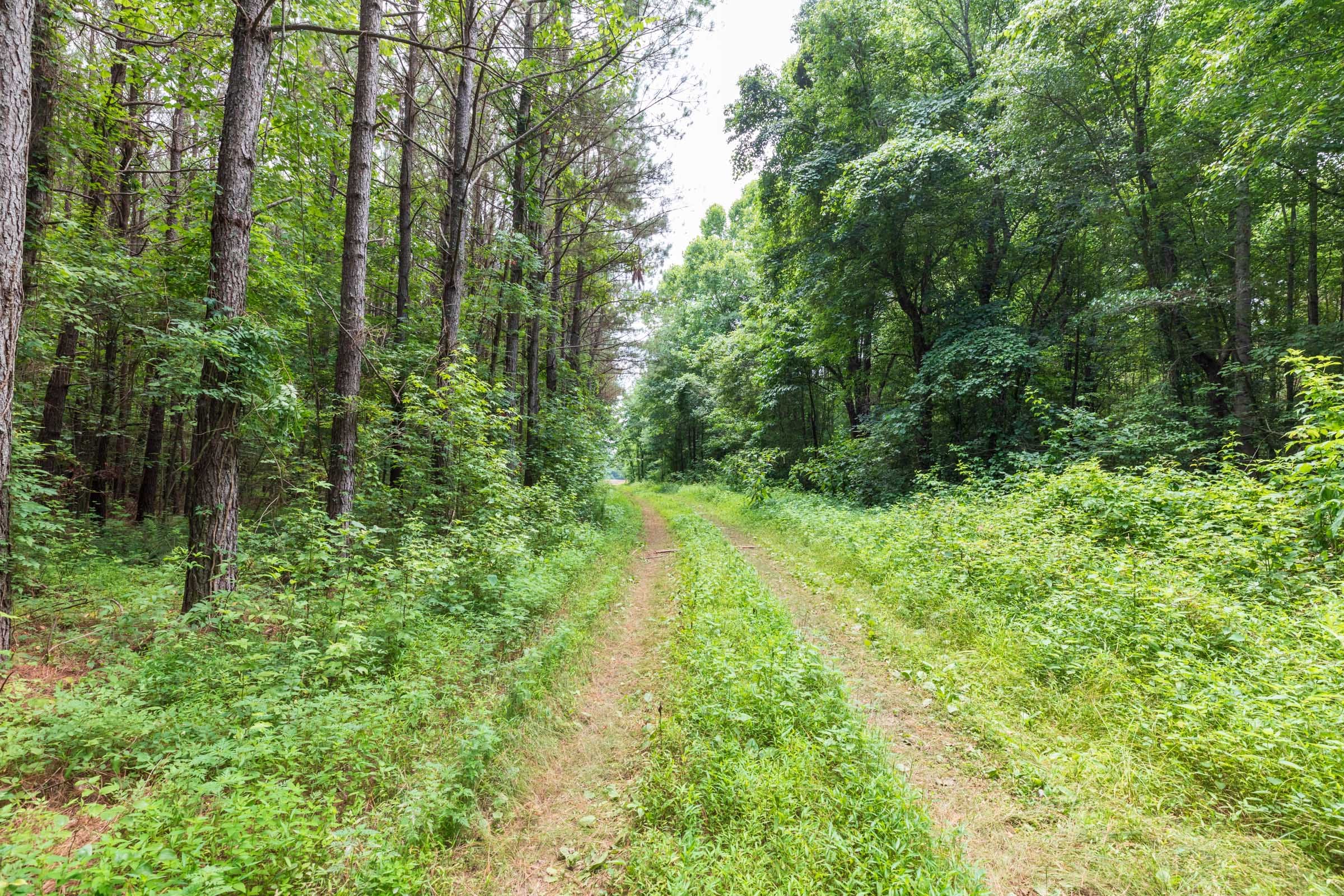 Whiskey Ridge Tract 11 photo 5