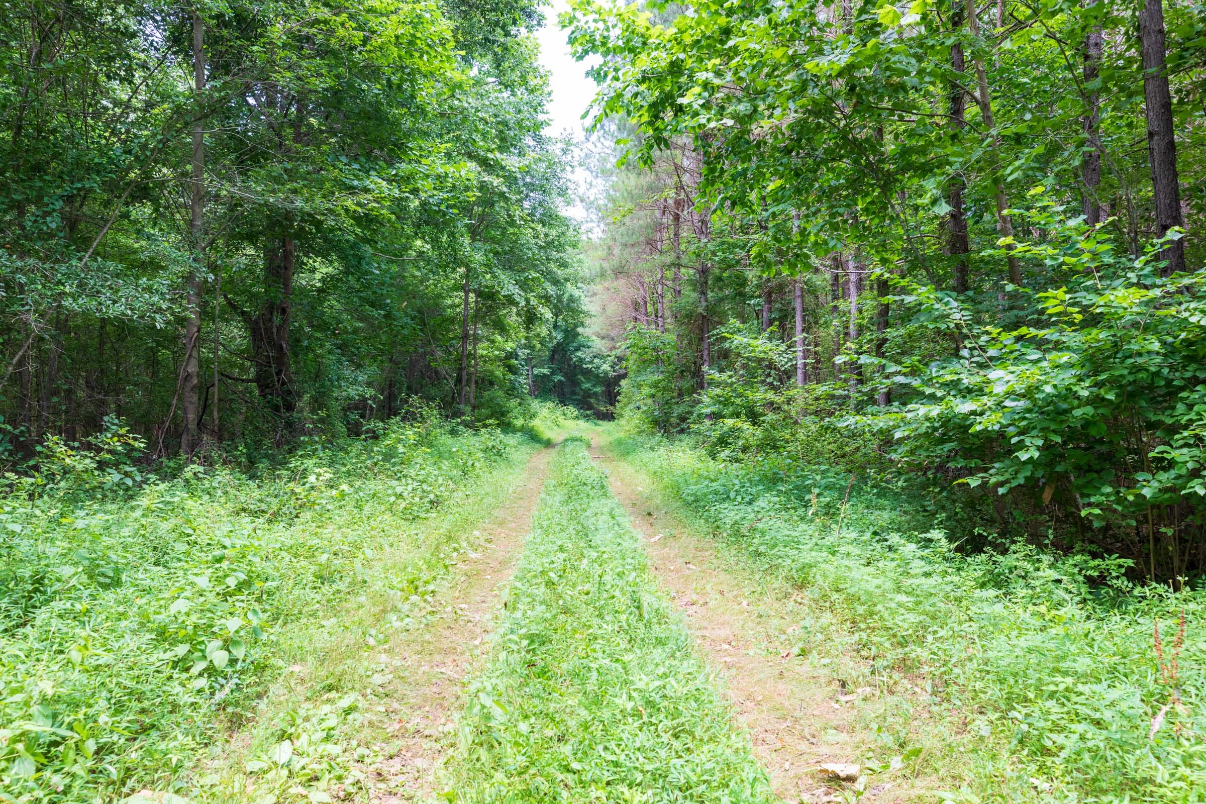 Whiskey Ridge Tract 11 photo 10